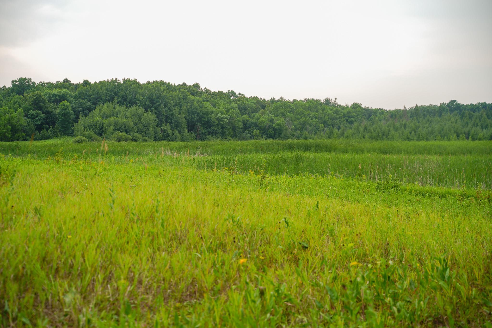 Tbd Wilderness Drive Property Photo 63