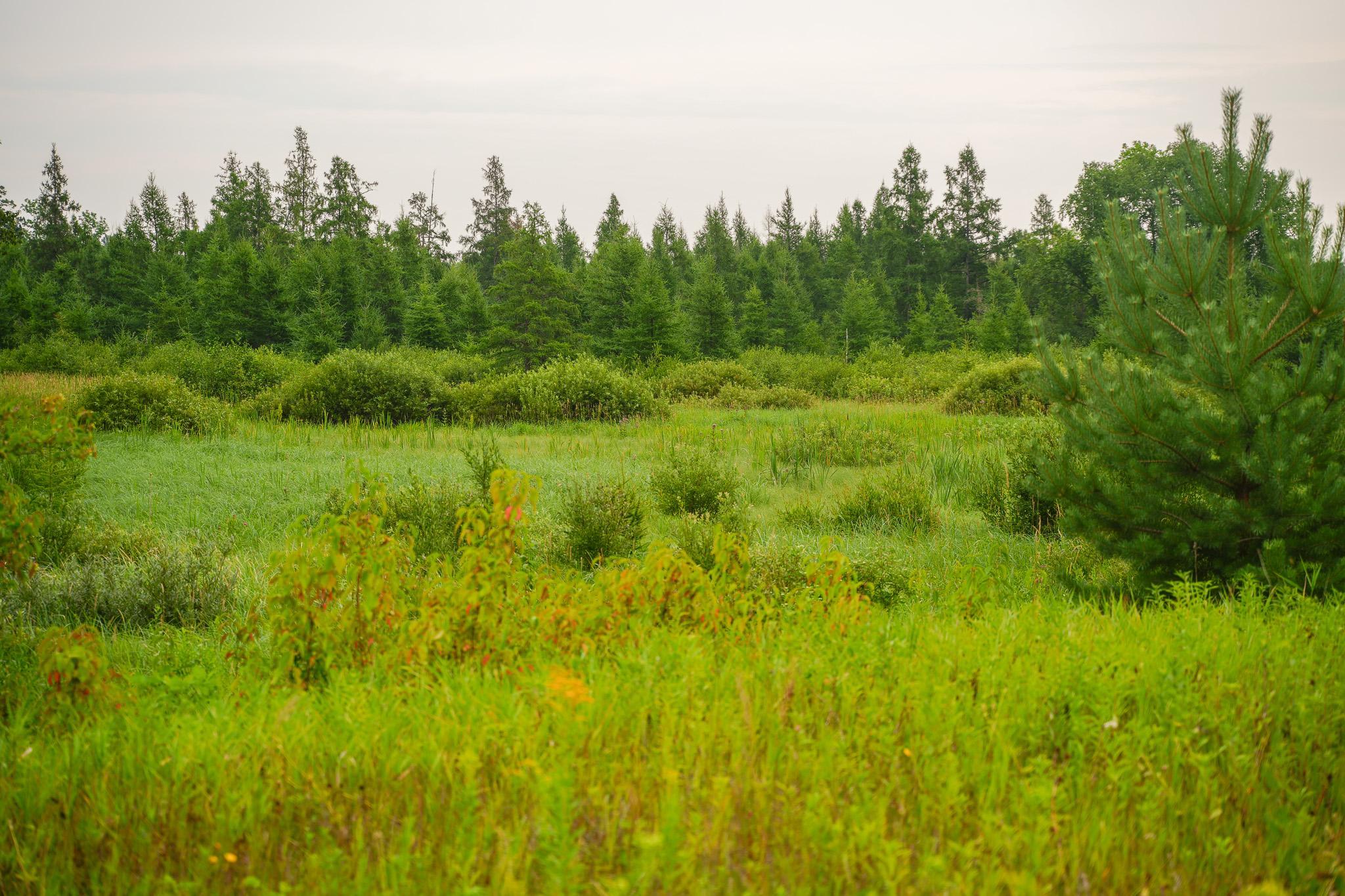 Tbd Wilderness Drive Property Photo 64