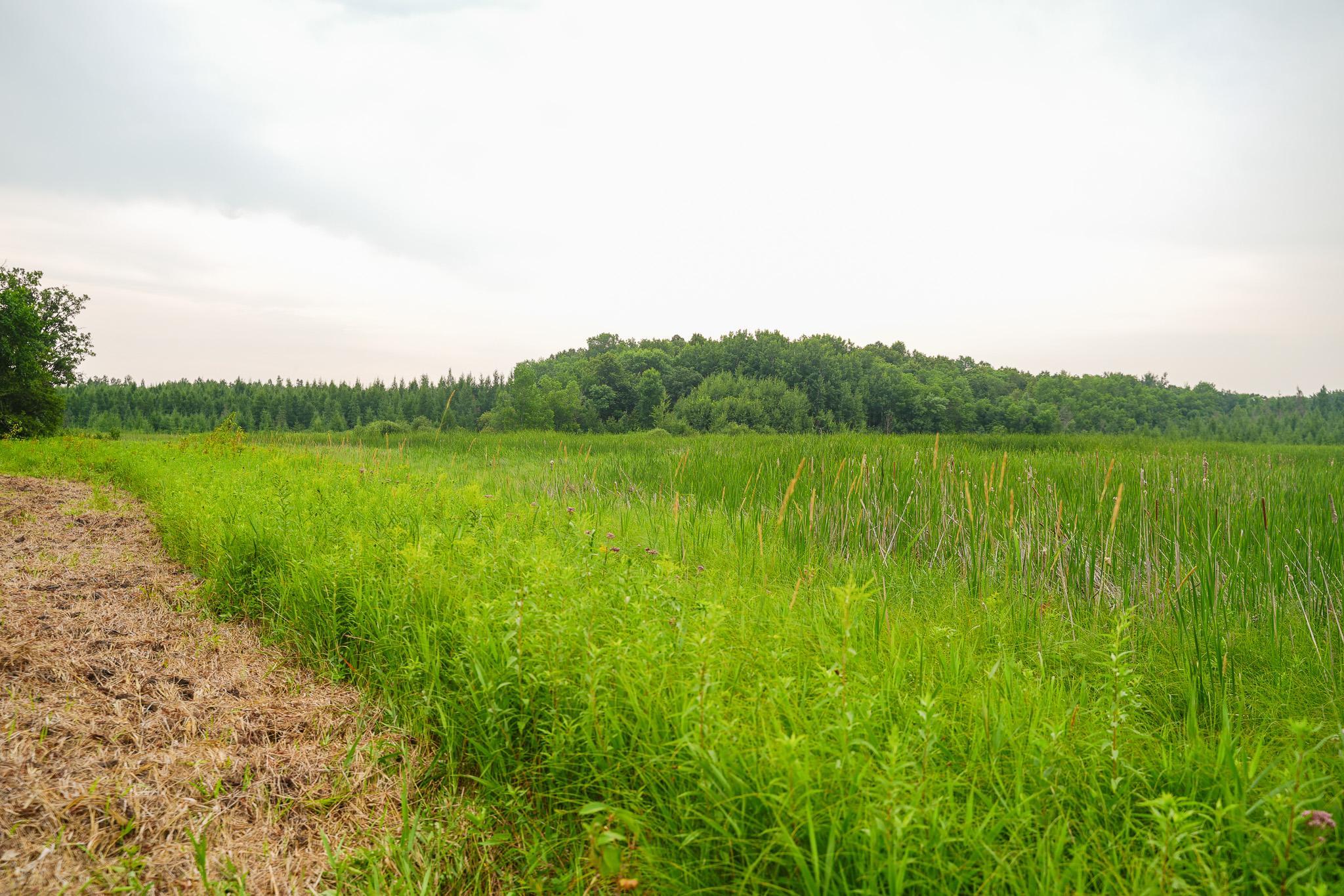 Tbd Wilderness Drive Property Photo 66