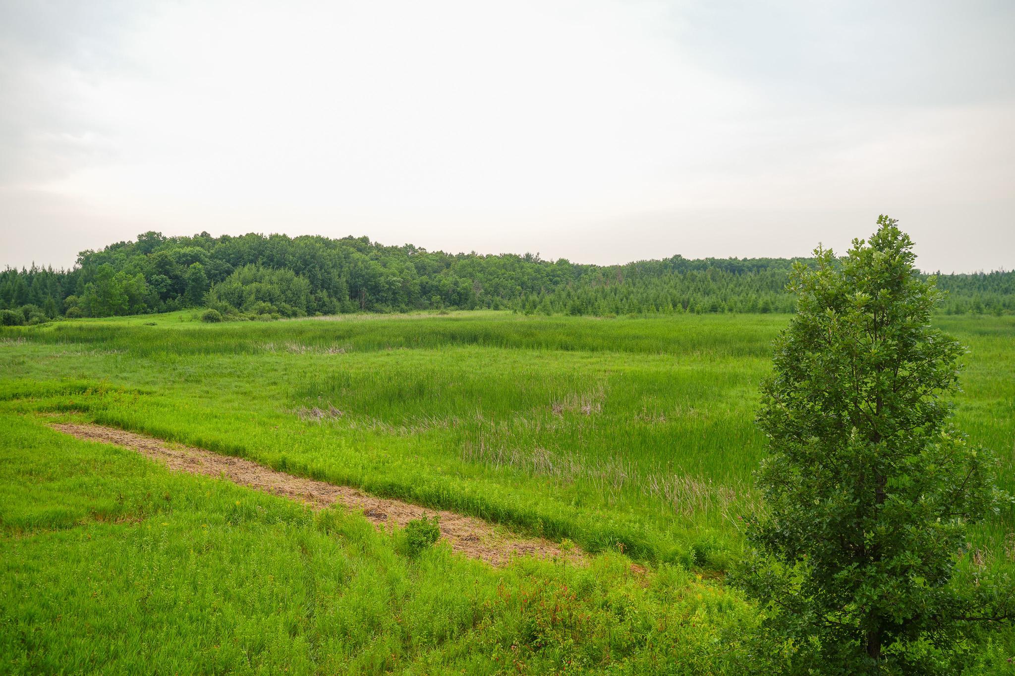 Tbd Wilderness Drive Property Photo 69