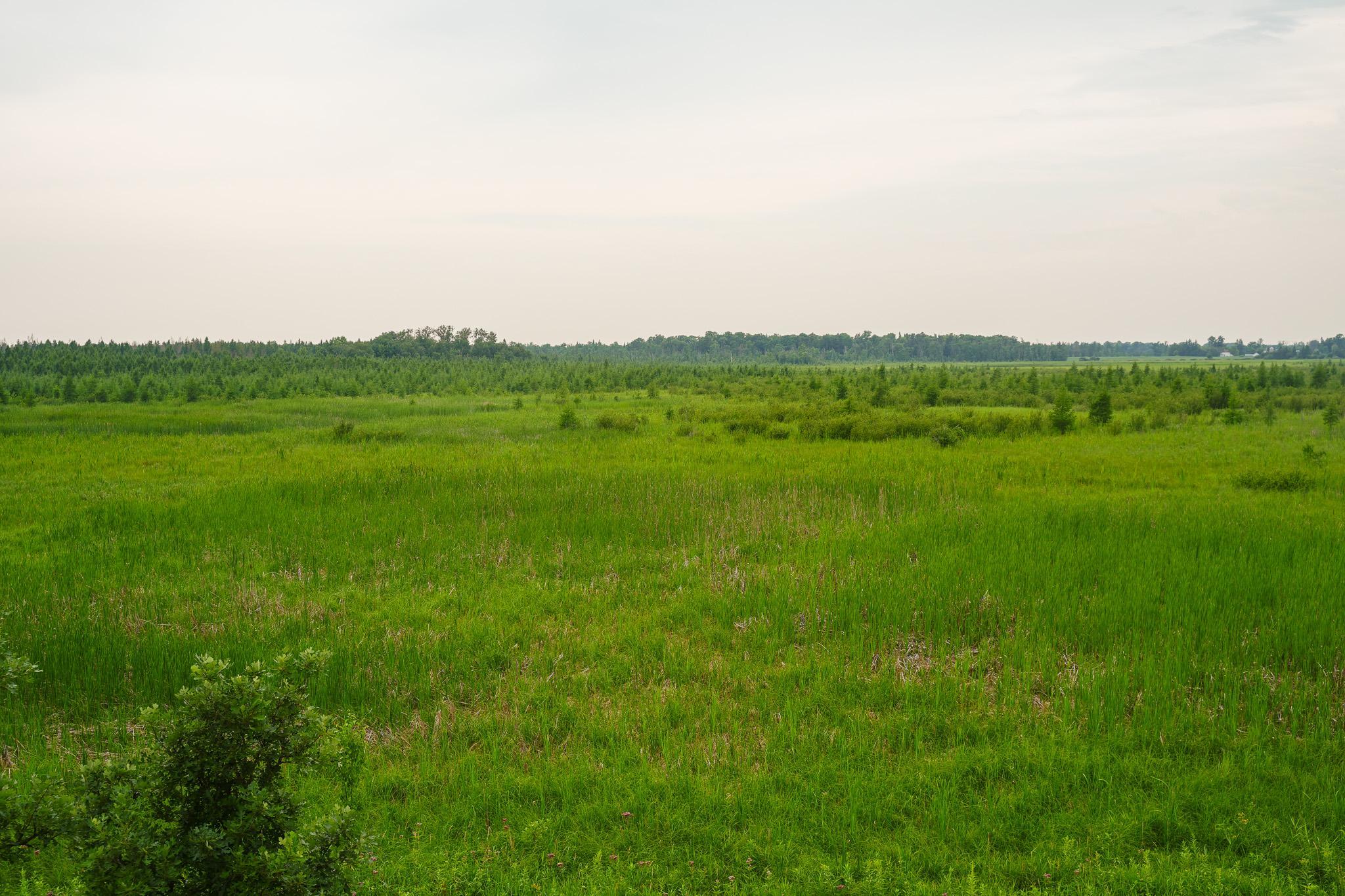 Tbd Wilderness Drive Property Photo 70