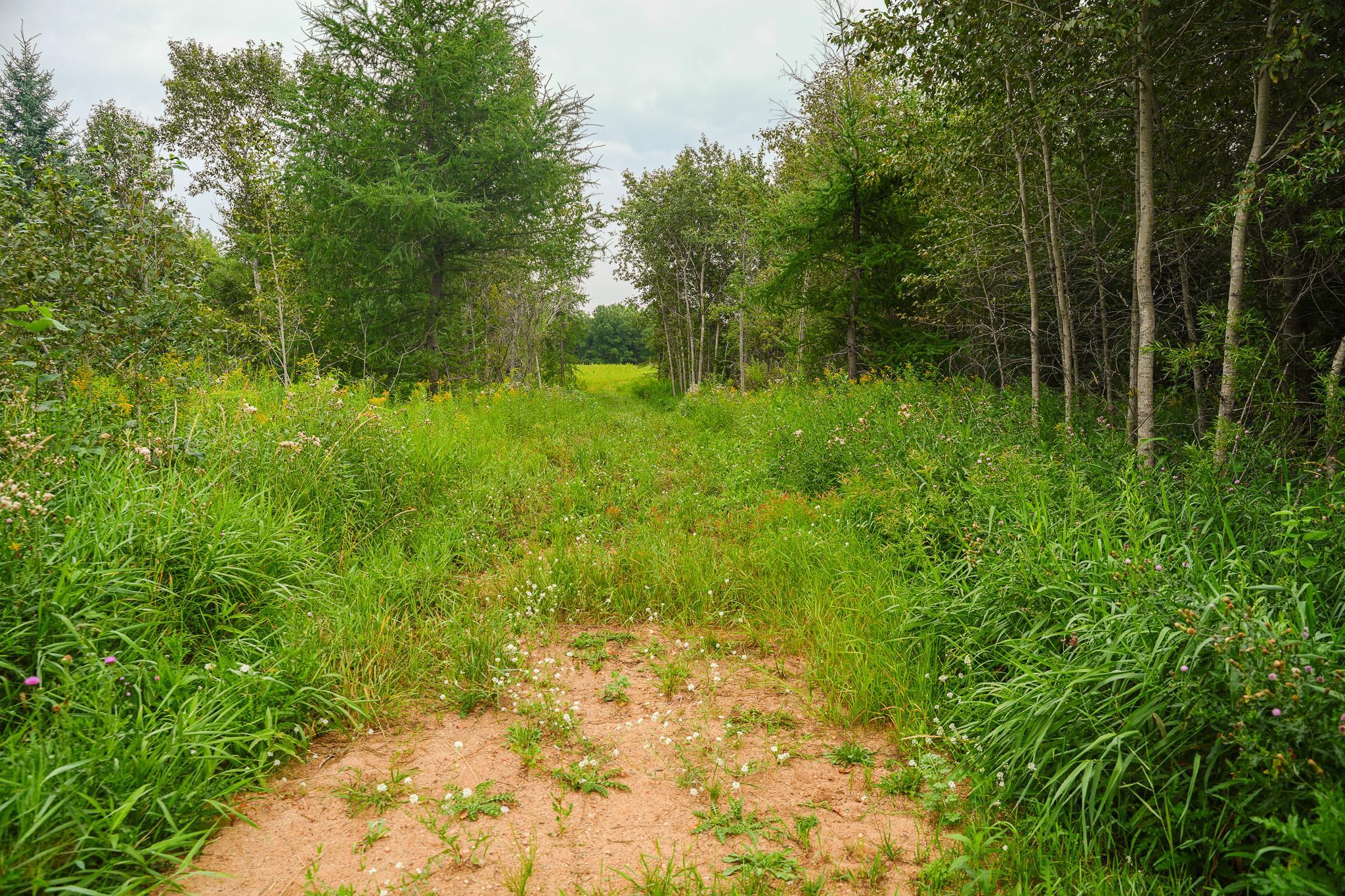 Tbd Wilderness Drive Property Photo 76