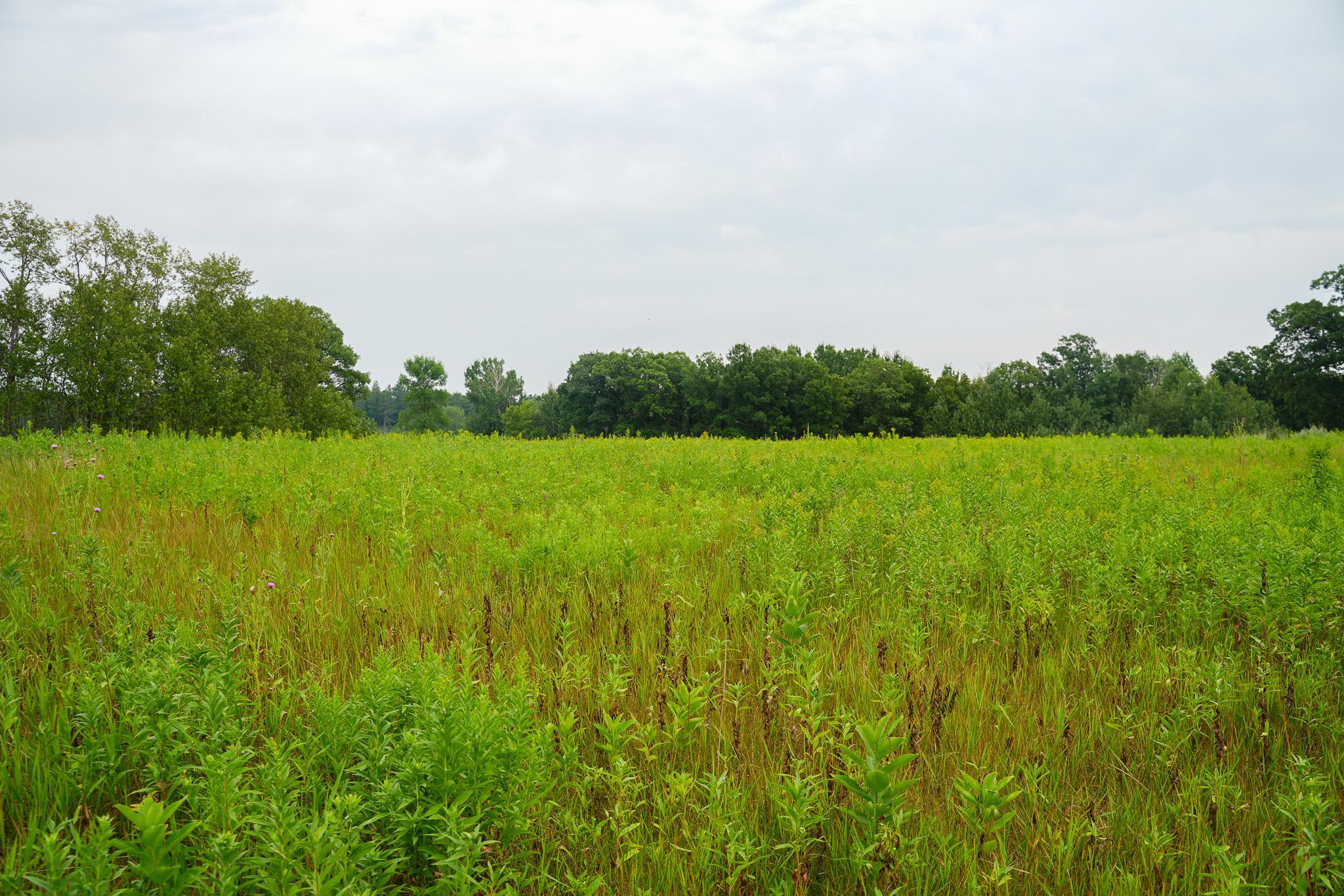 Tbd Wilderness Drive Property Photo 77