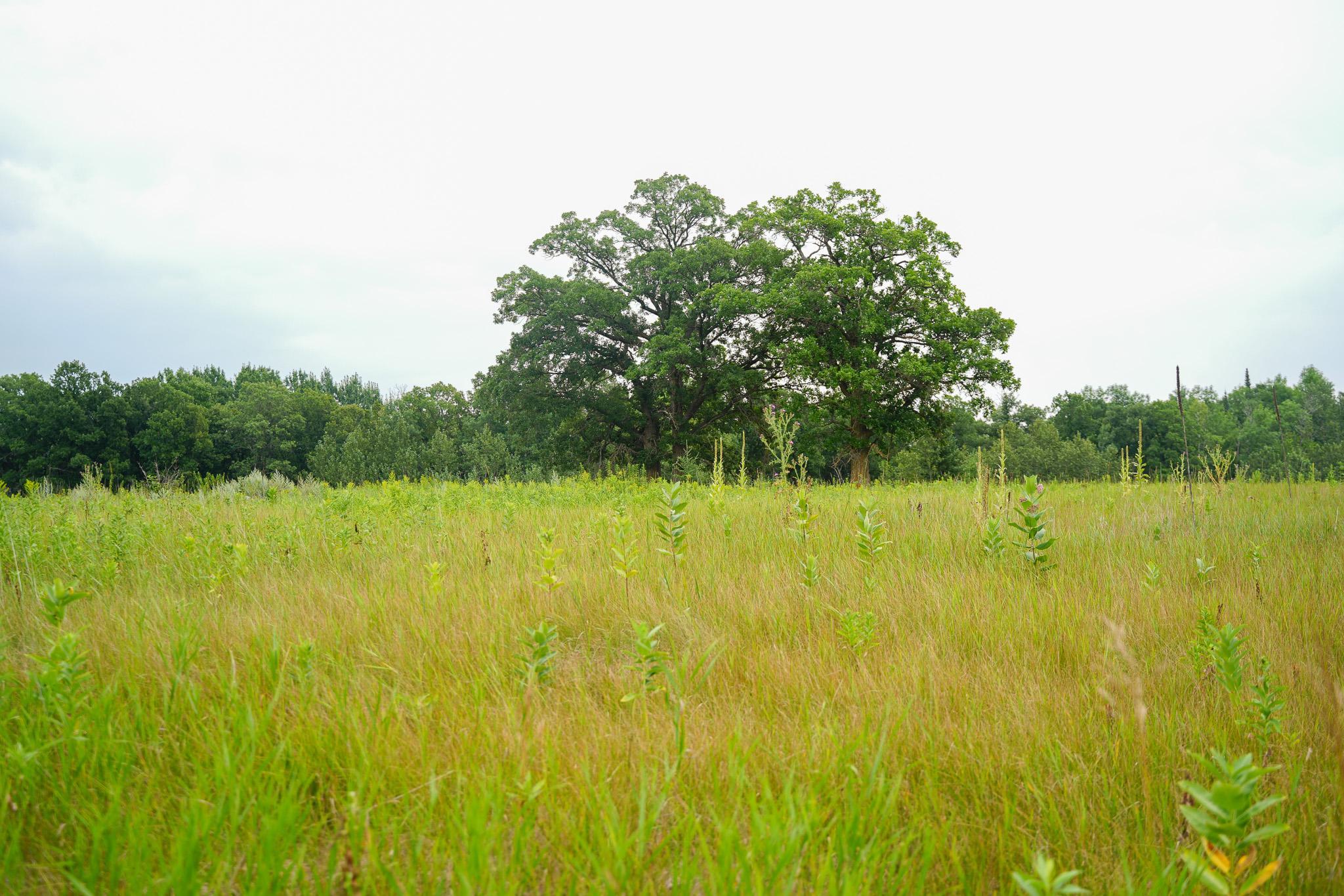 Tbd Wilderness Drive Property Photo 78