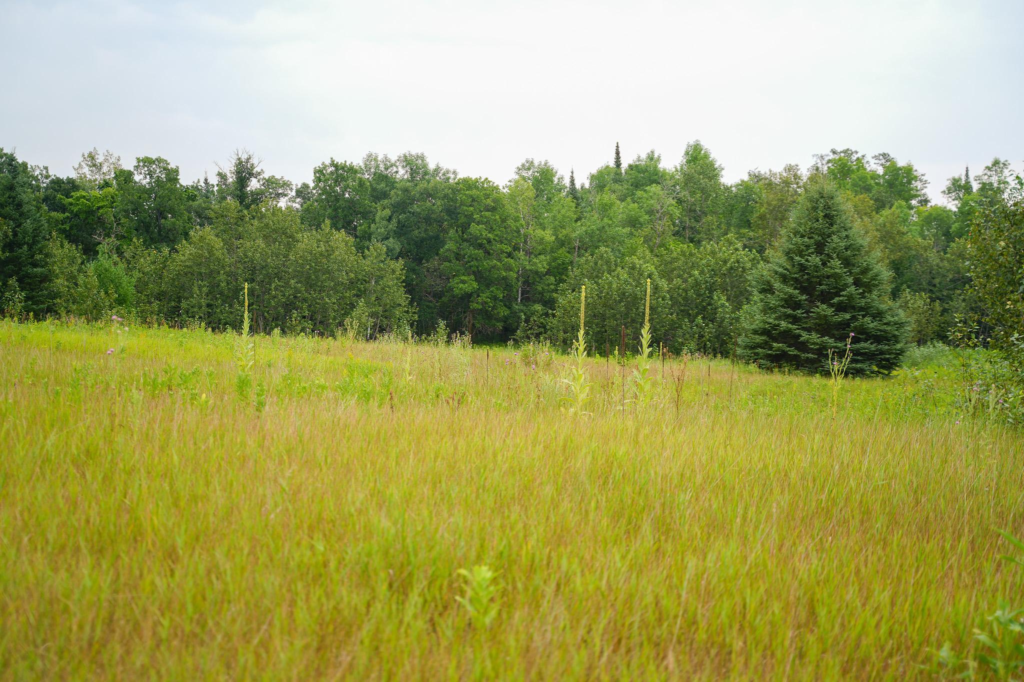 Tbd Wilderness Drive Property Photo 79