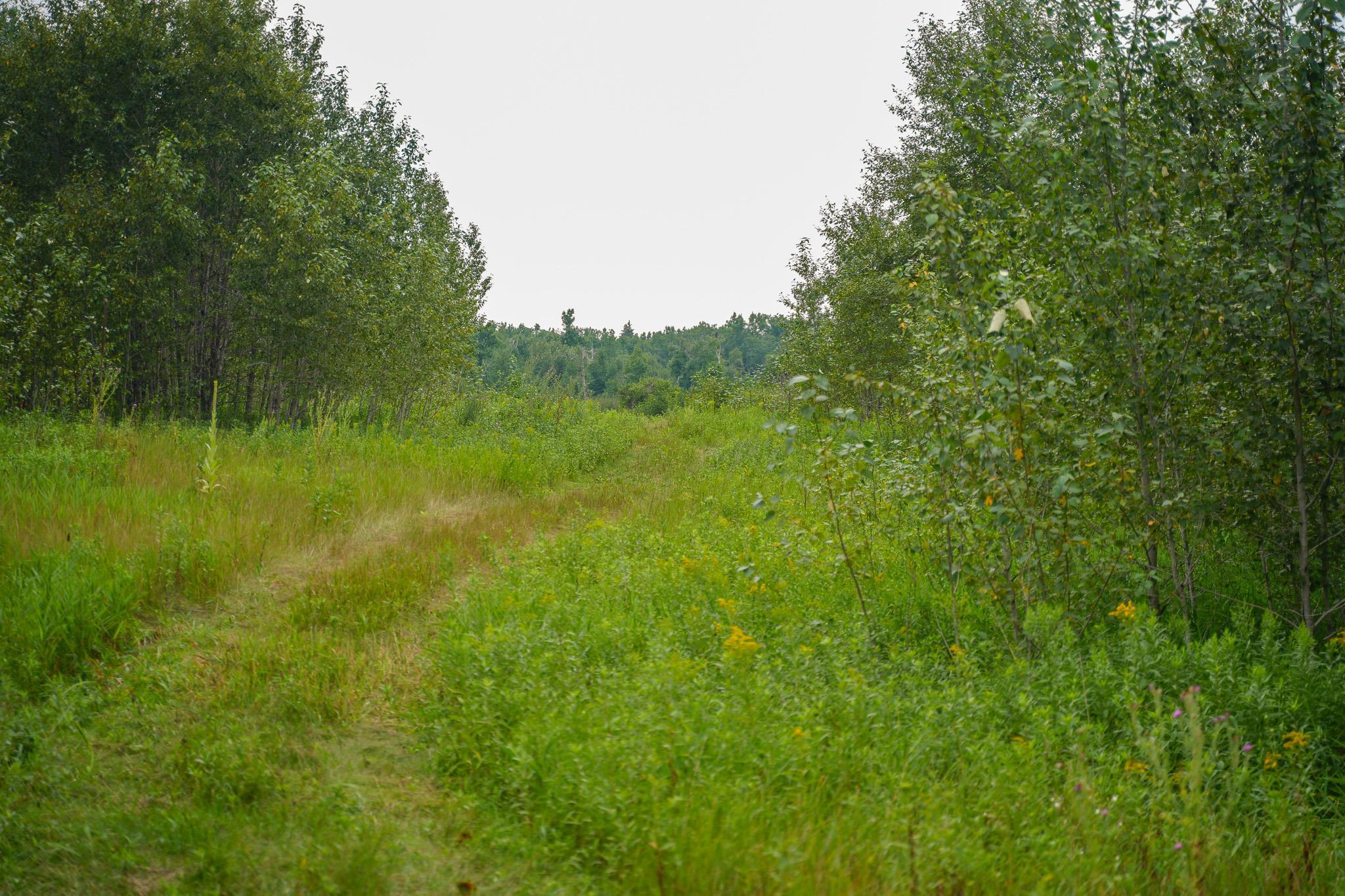 Tbd Wilderness Drive Property Photo 80