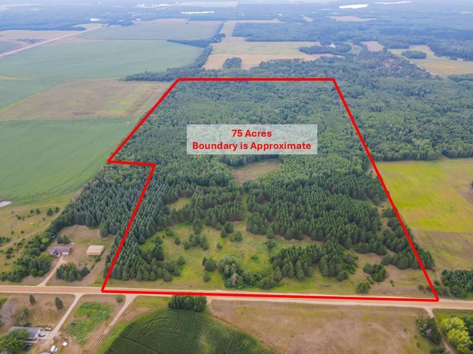 Tbd County Road 125 Property Photo 1