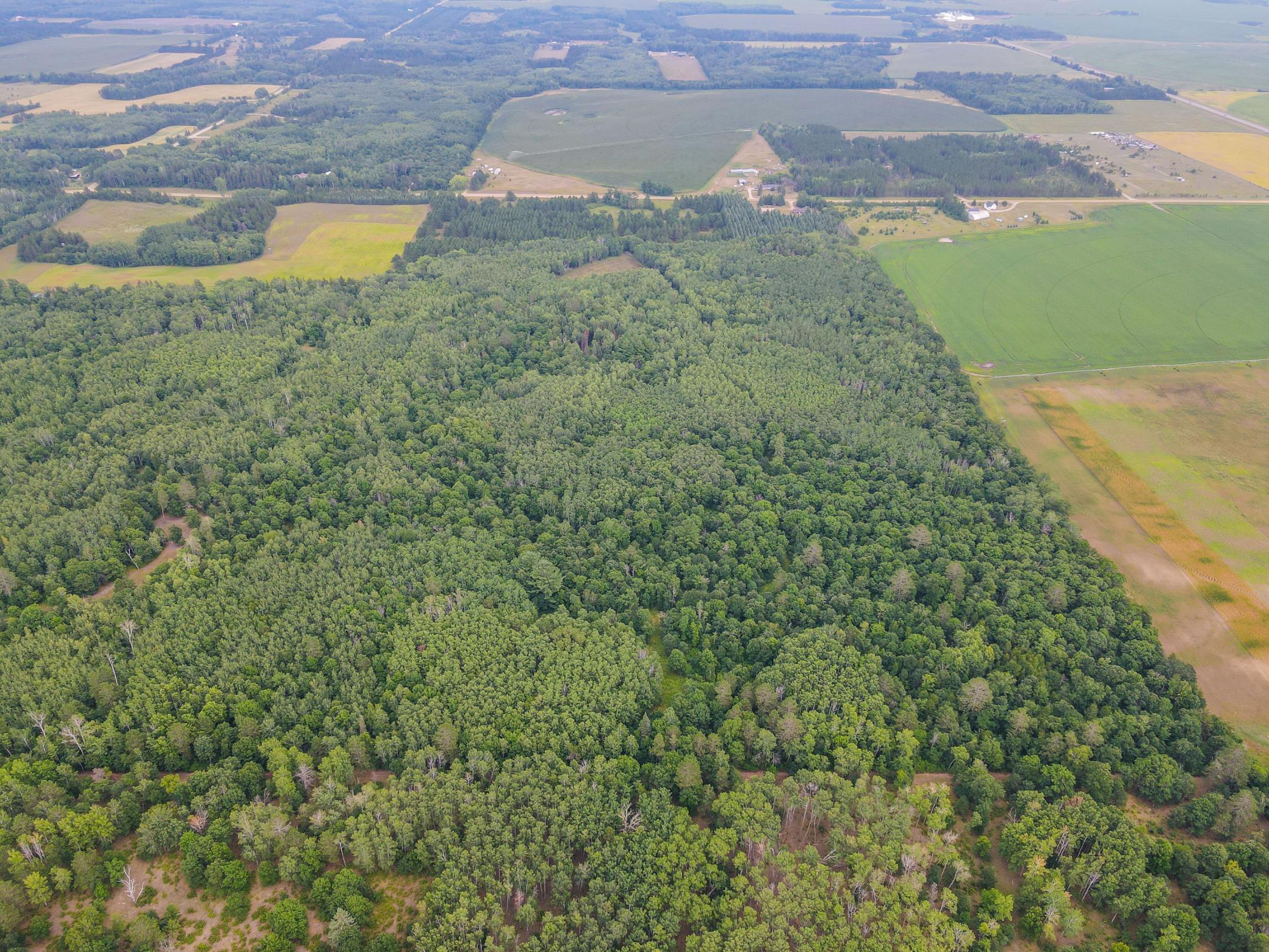 Tbd County Road 125 Property Photo 3