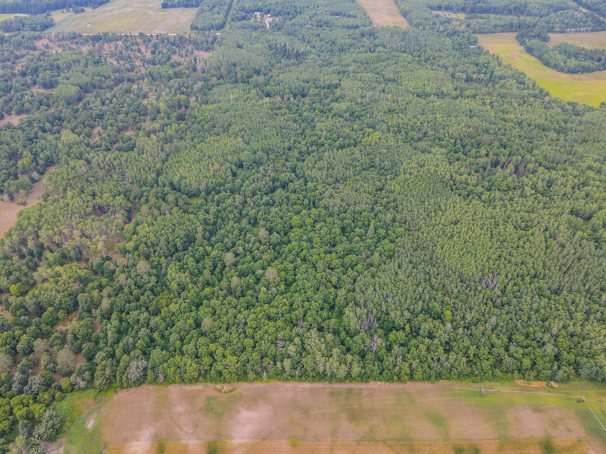 Tbd County Road 125 Property Photo 4