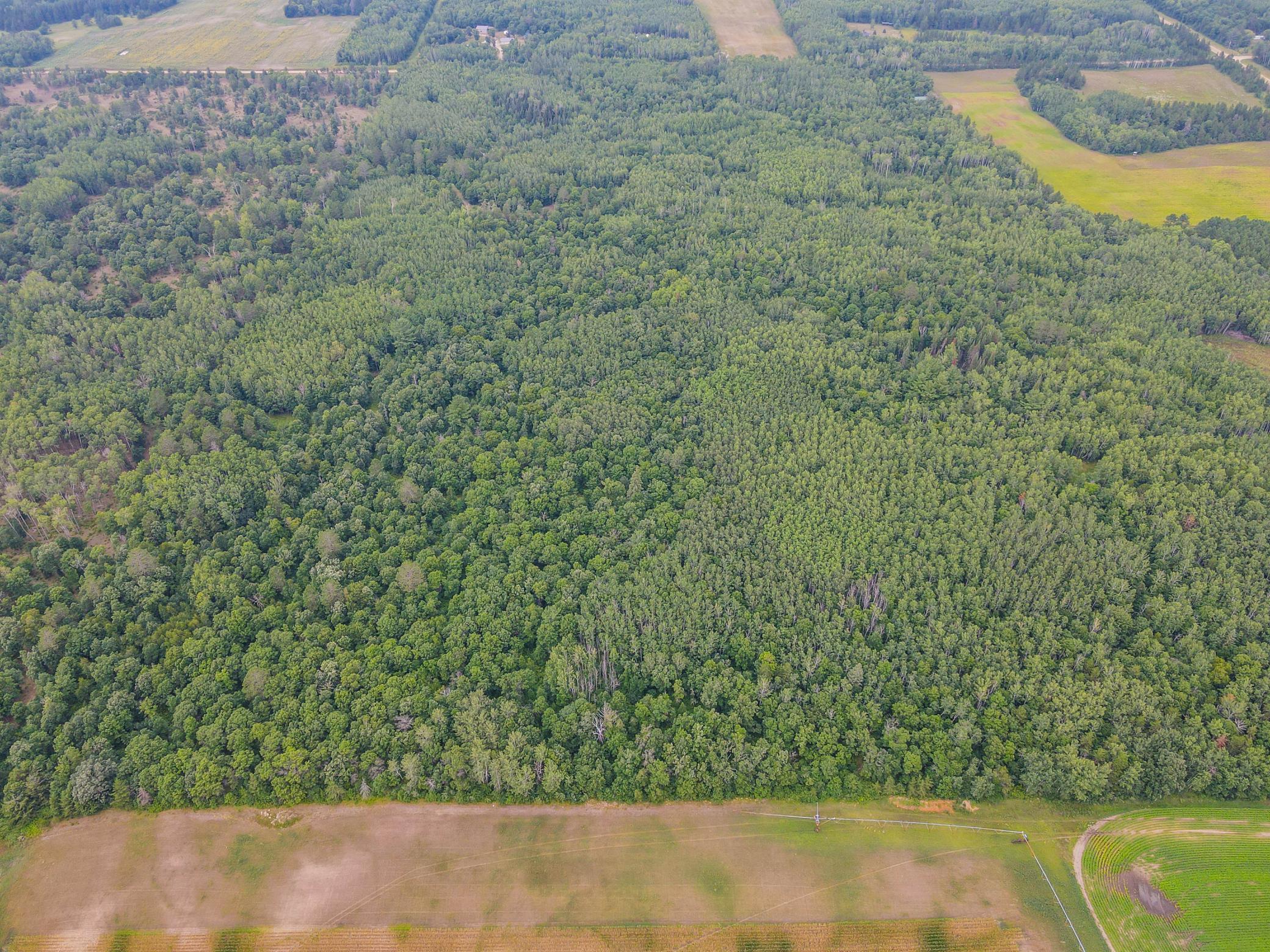 Tbd County Road 125 Property Photo 5