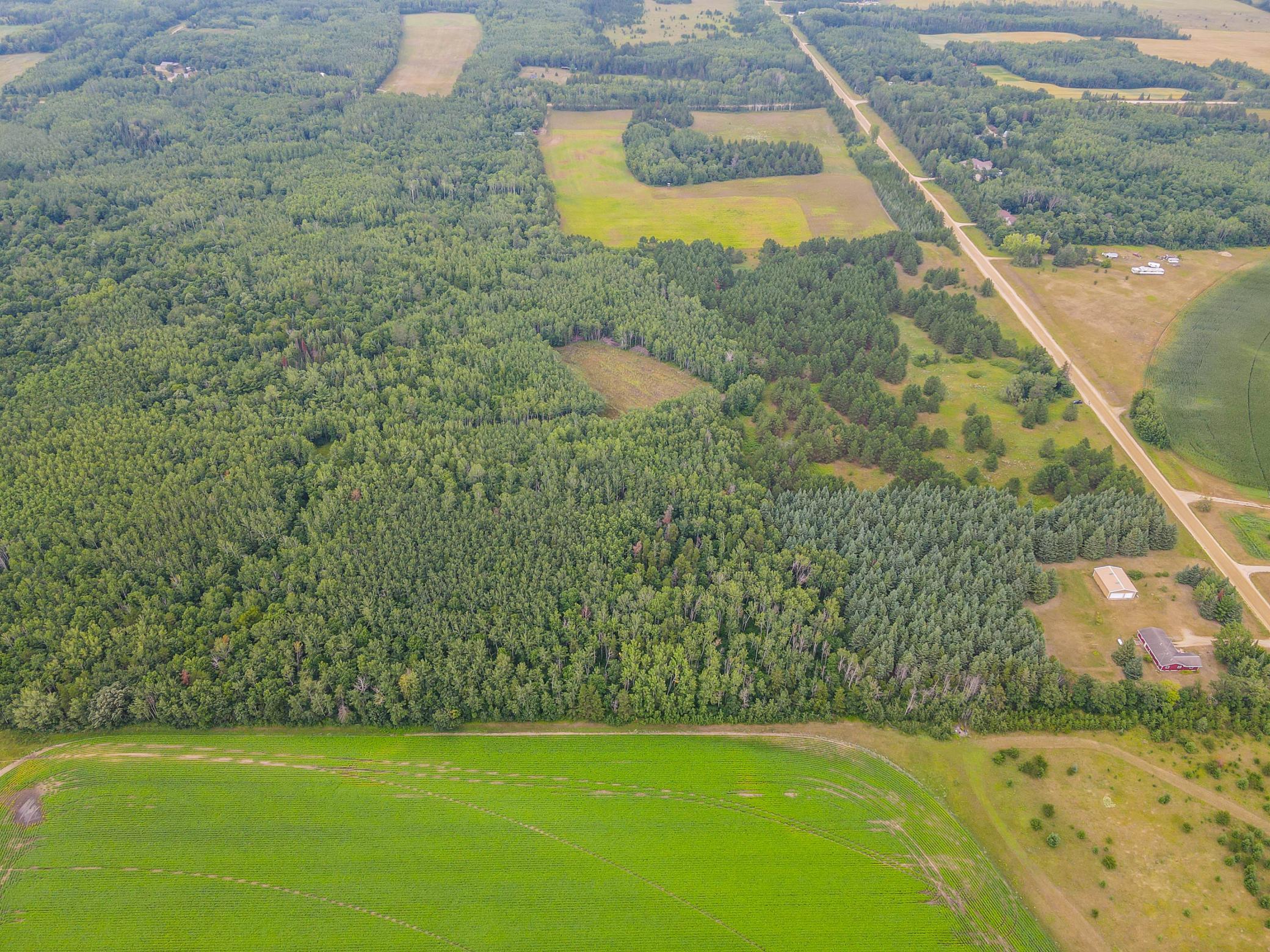 Tbd County Road 125 Property Photo 6