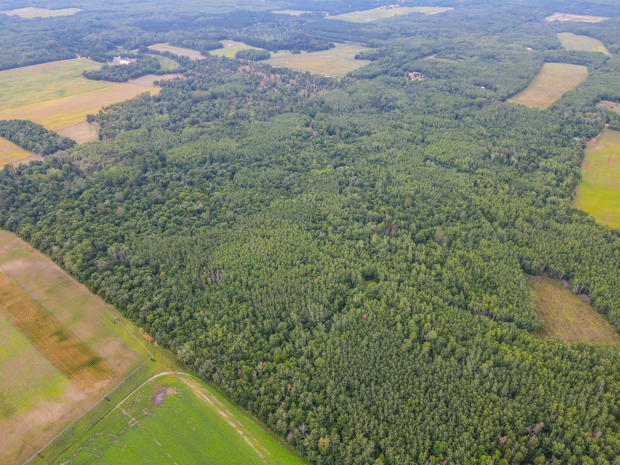 Tbd County Road 125 Property Photo 7