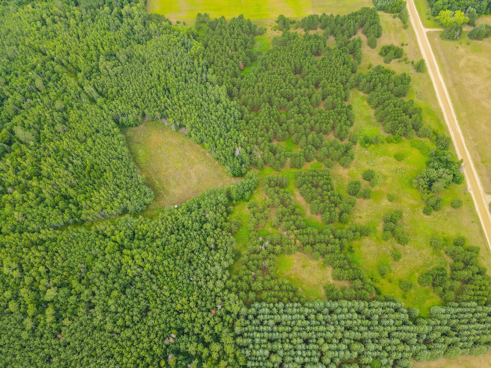 Tbd County Road 125 Property Photo 9