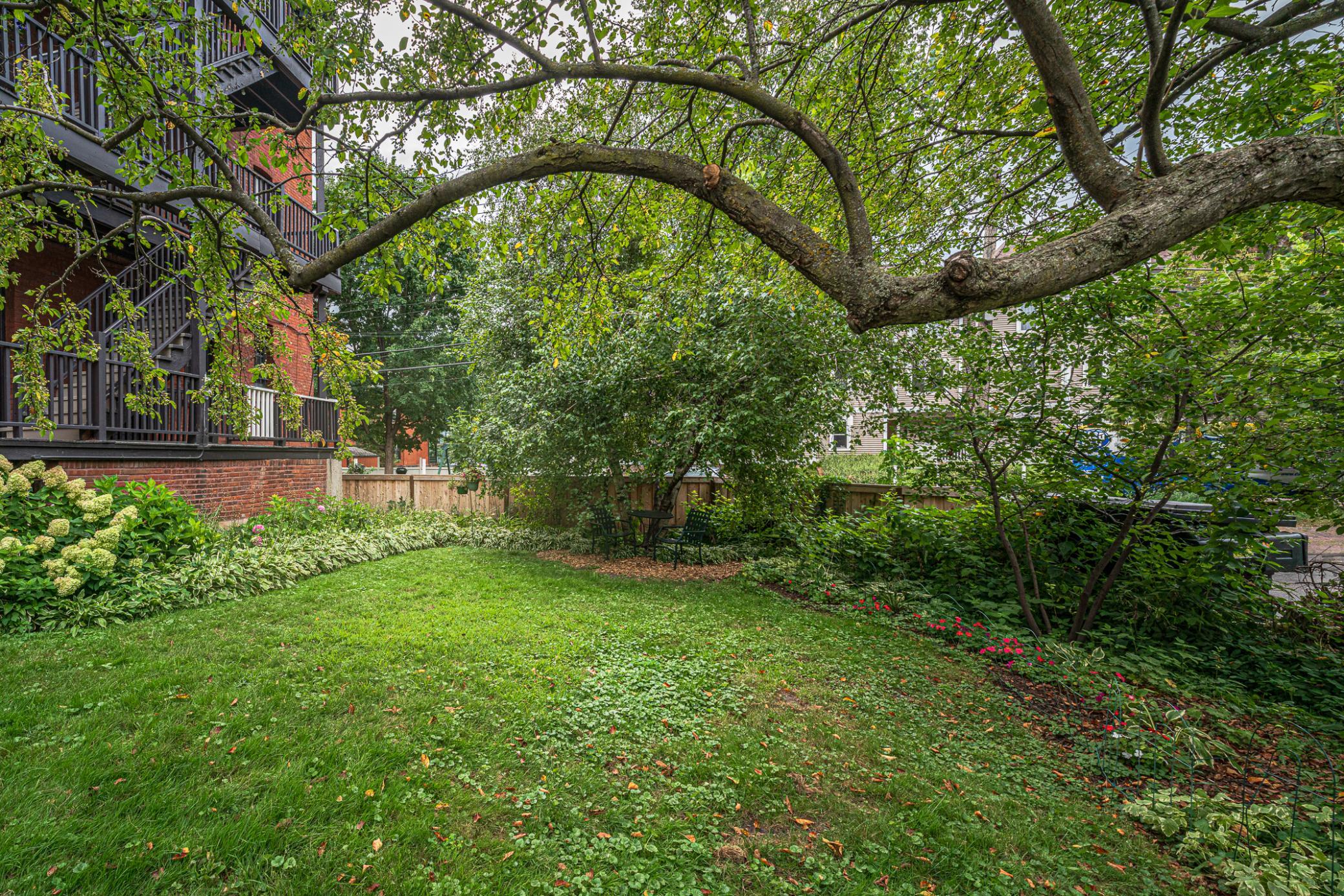 223 Arundel Street 1 Property Photo 42