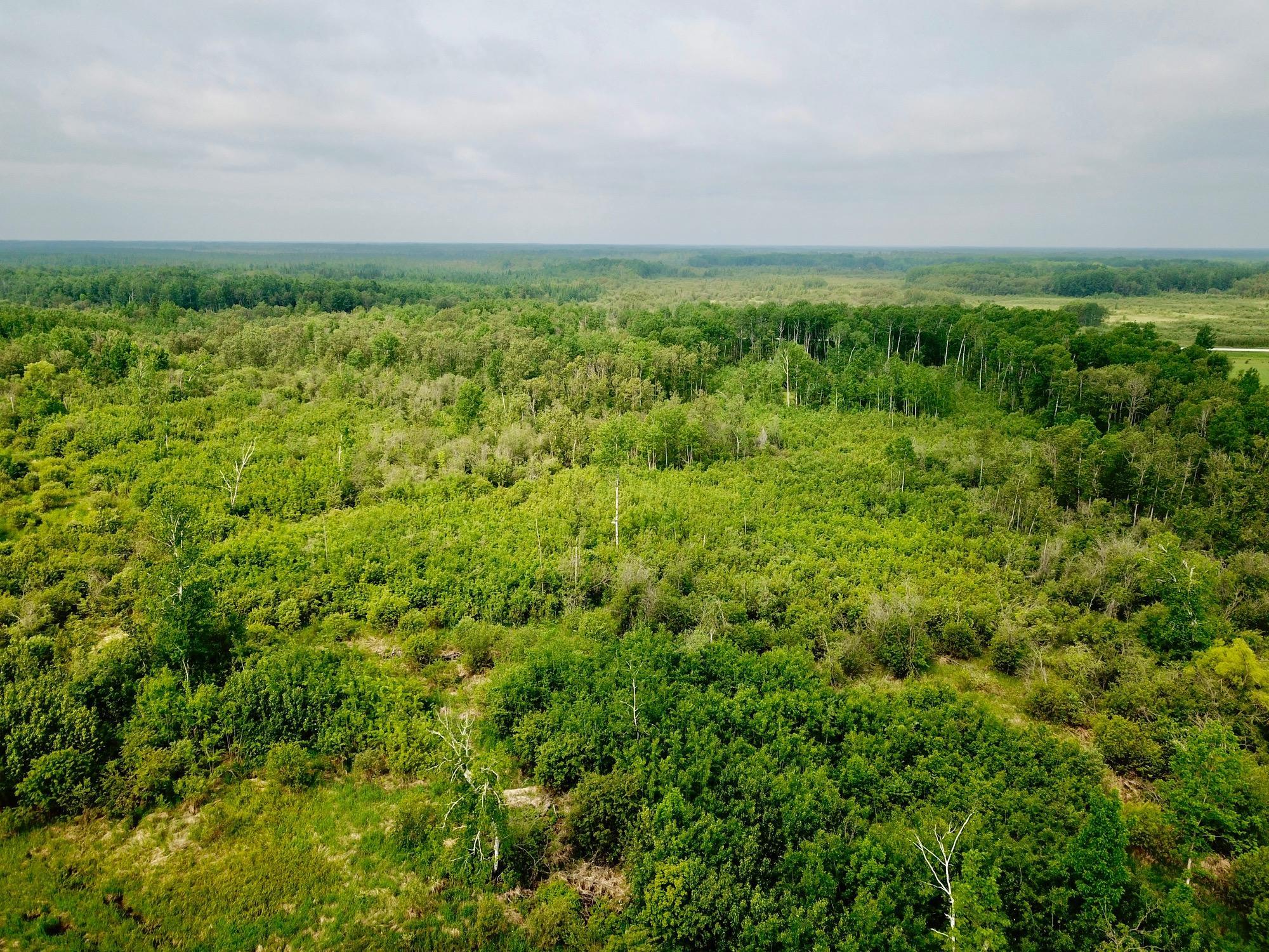 3274 County Road 1 Sw Property Photo 23