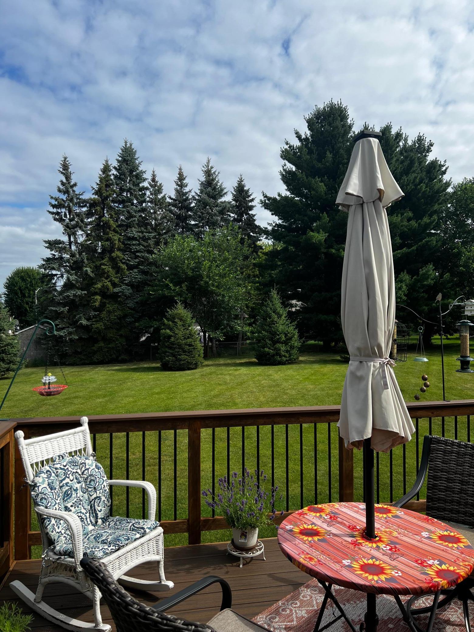 2365 Skillman Avenue E Property Photo 39