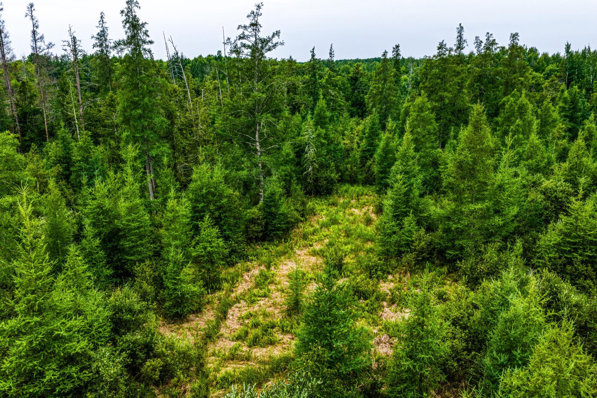 Tbd Scenic Highway Property Photo 8
