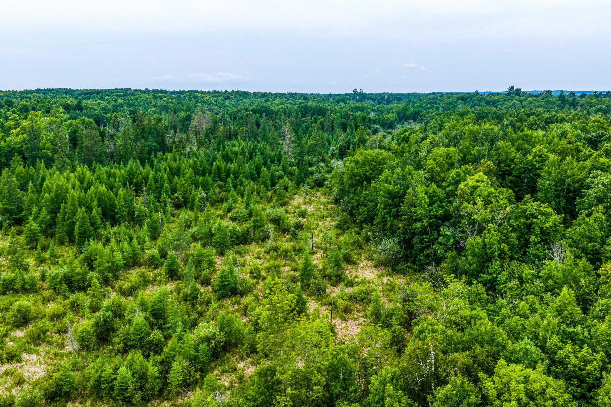 Tbd Scenic Highway Property Photo 11