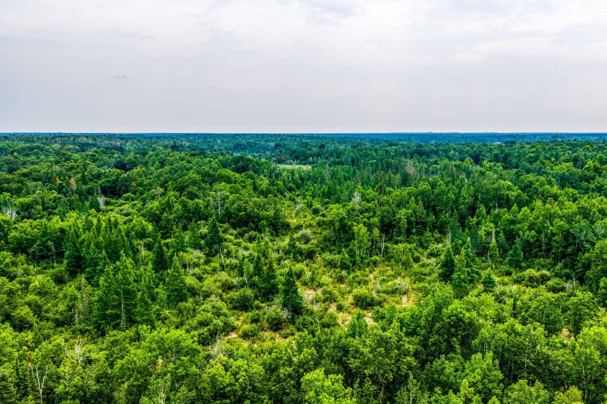 Tbd Scenic Highway Property Photo 15