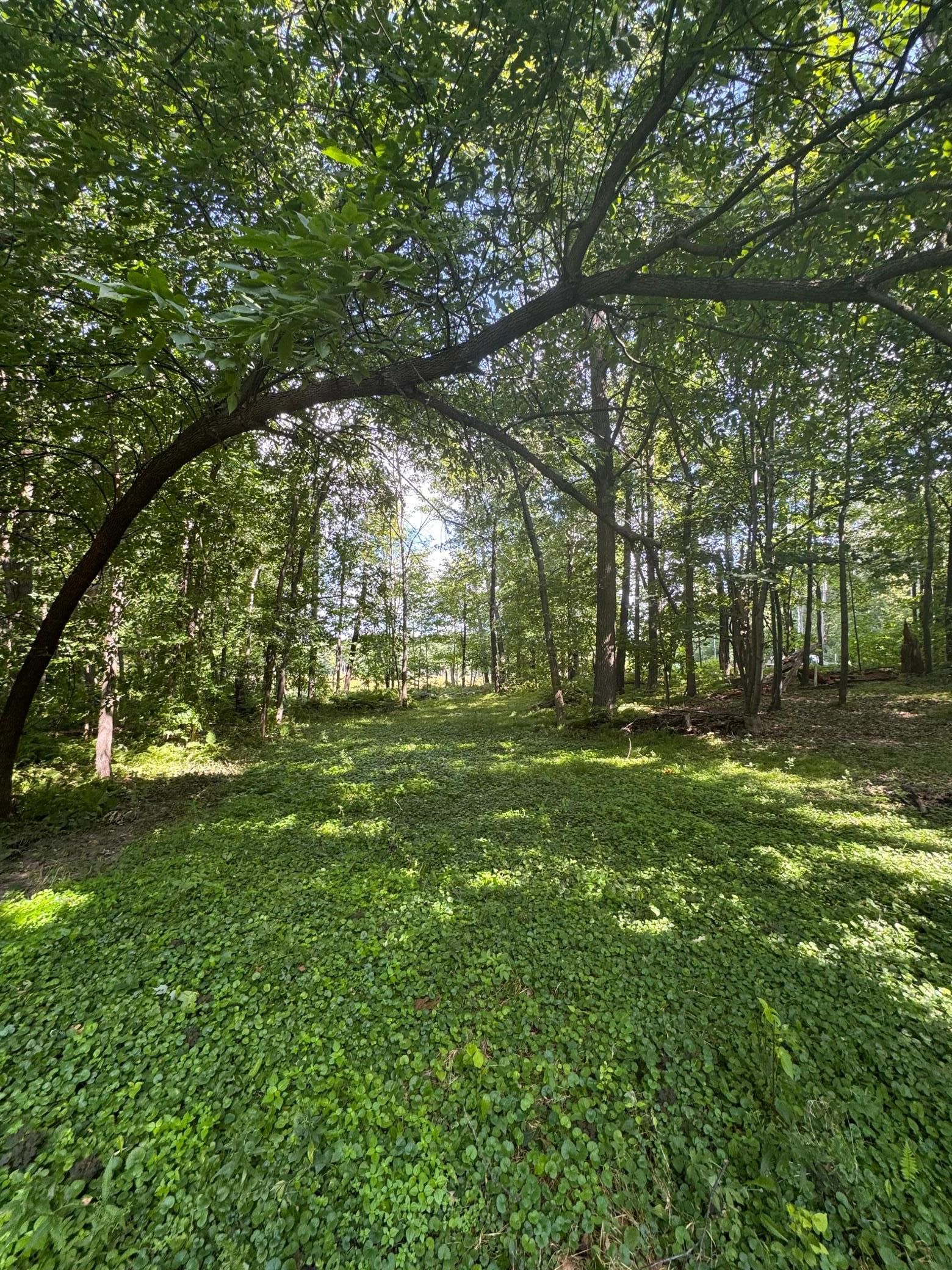 8776 Dorothy Avenue Property Photo 16