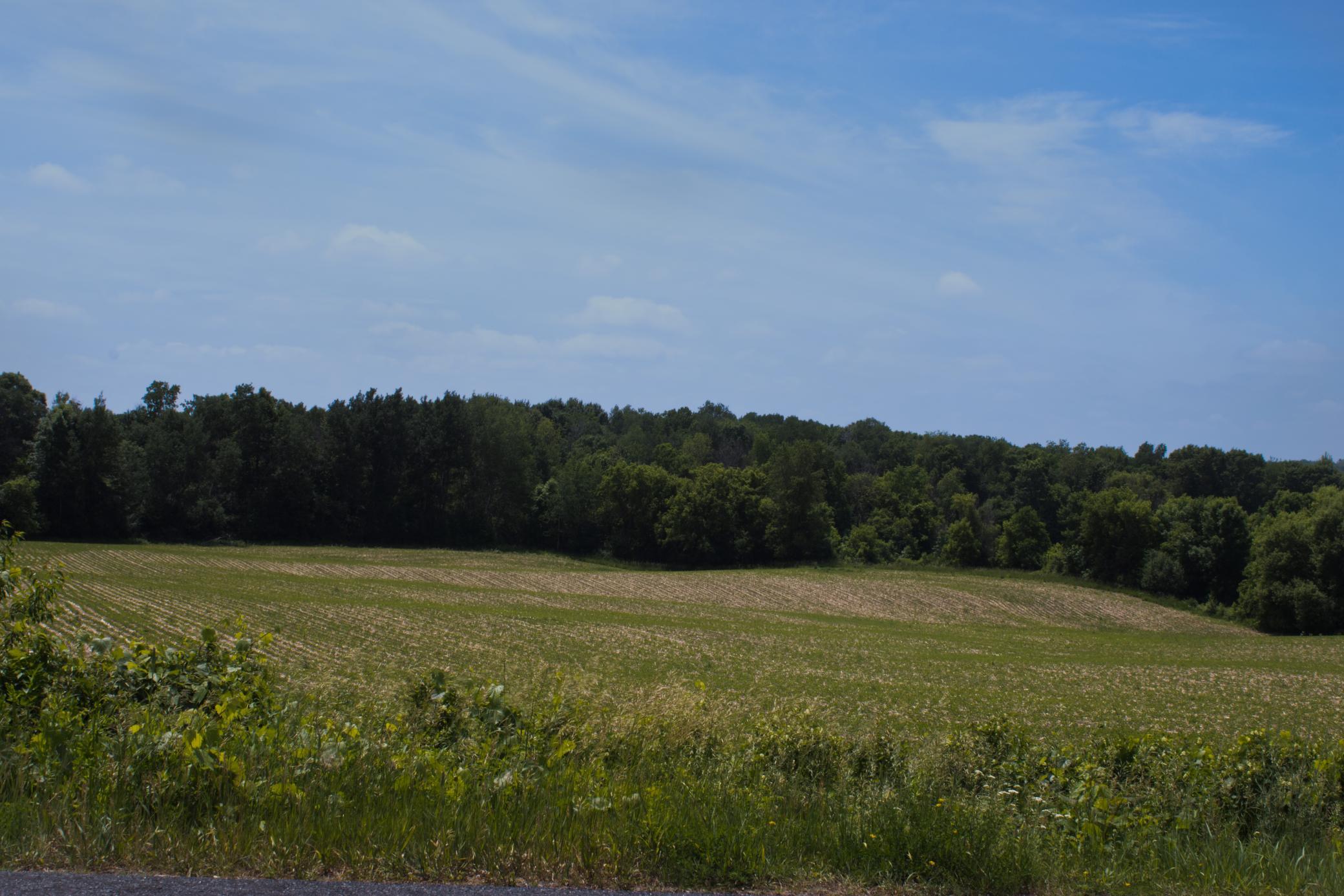 1130 20th Avenue Property Photo 6