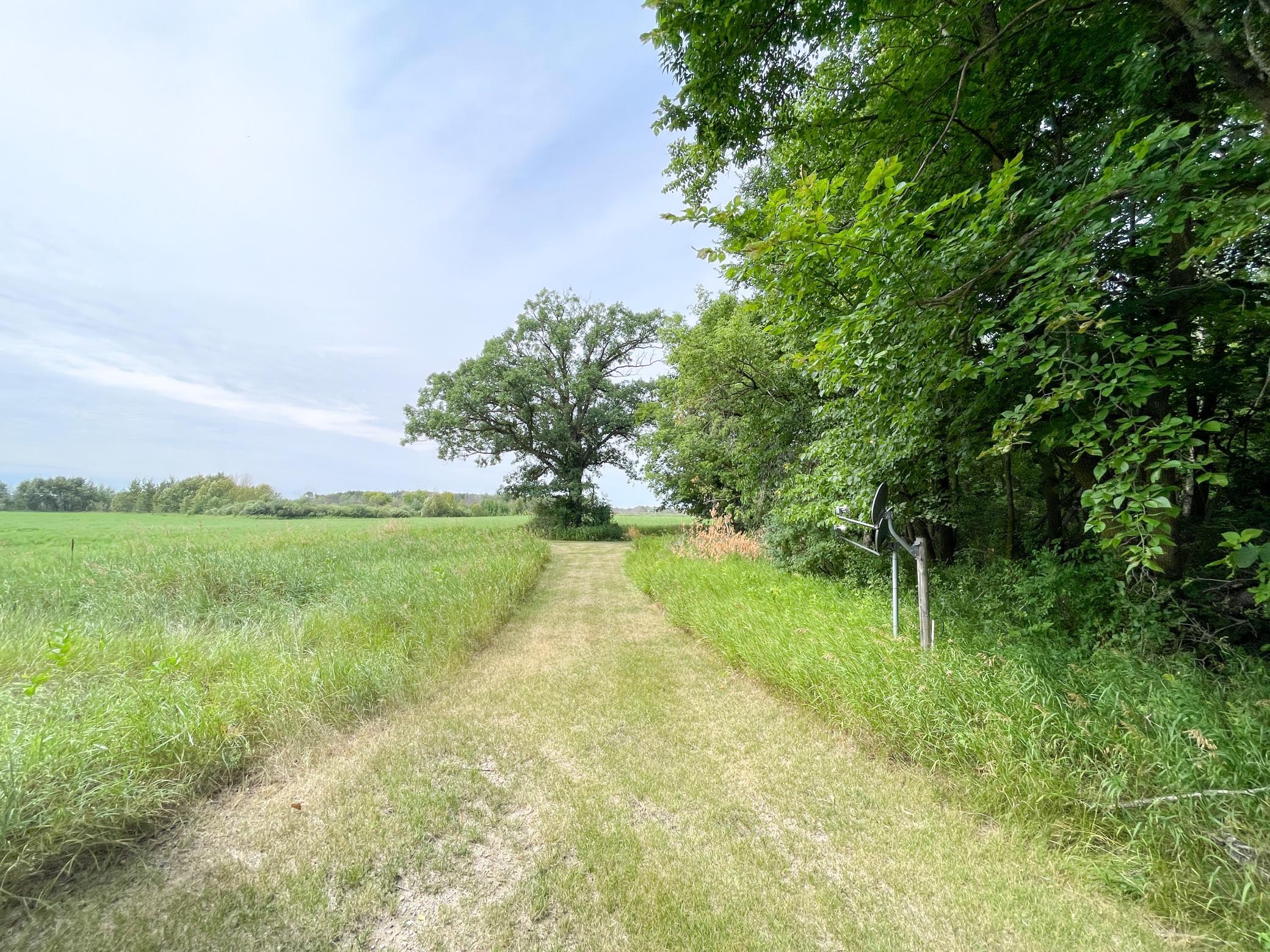 46635 S Pine Lake Road Property Photo 50