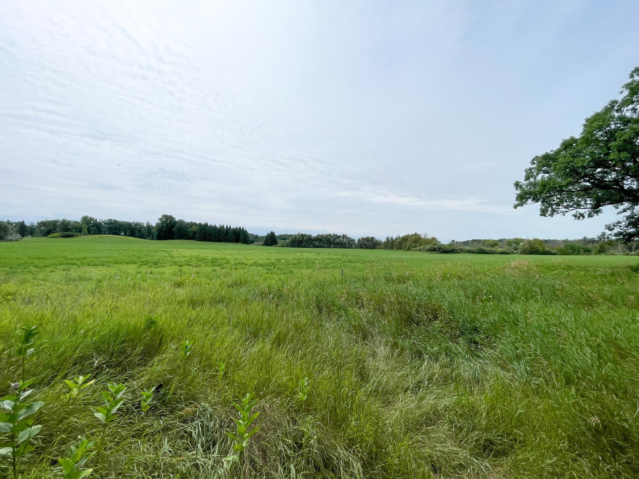 46635 S Pine Lake Road Property Photo 51