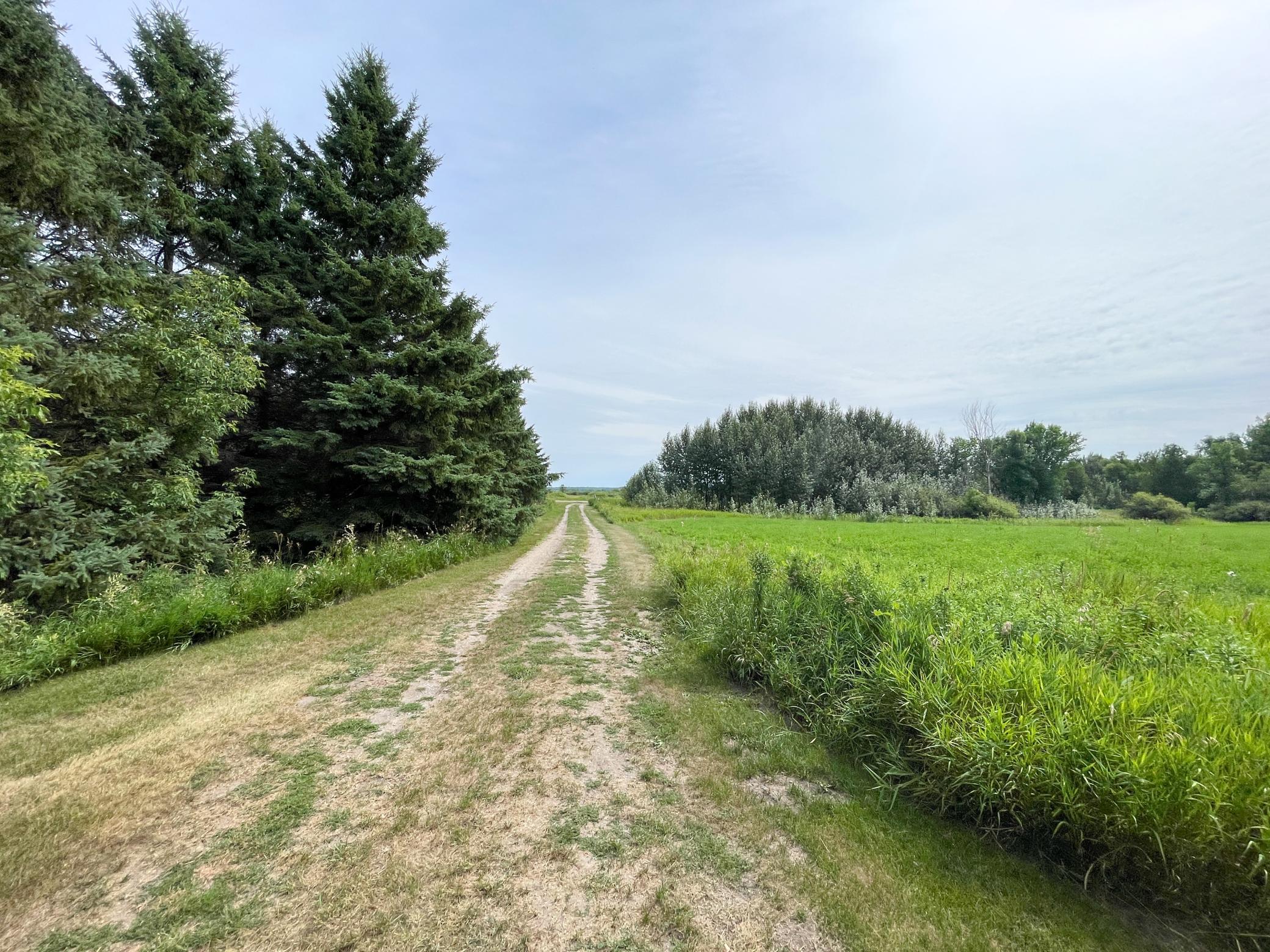 46635 S Pine Lake Road Property Photo 52