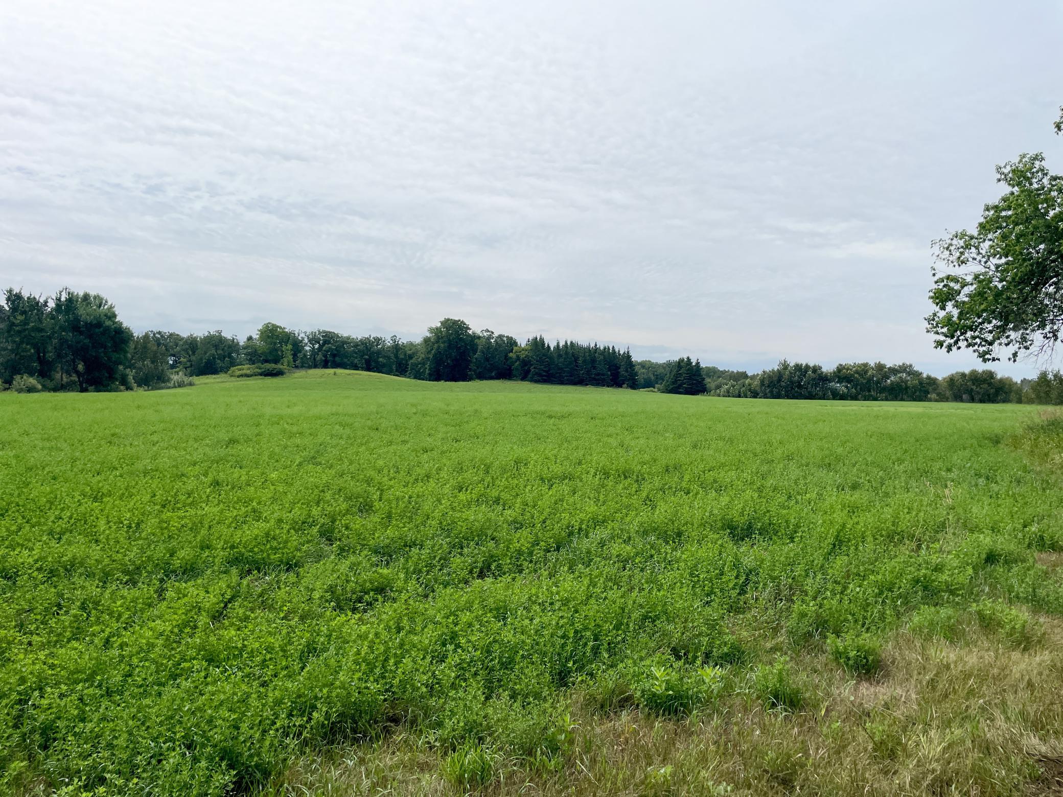 46635 S Pine Lake Road Property Photo 53