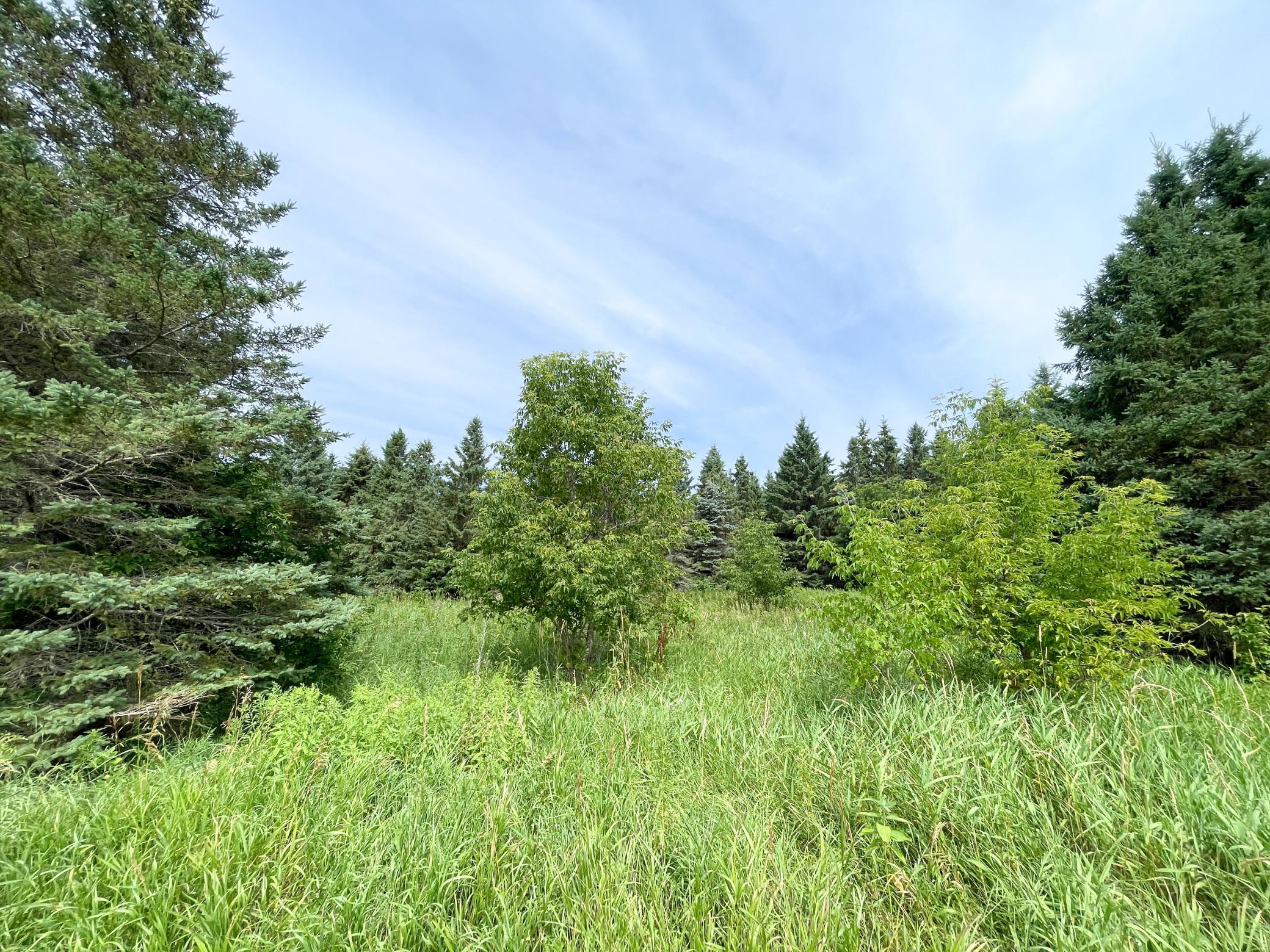 46635 S Pine Lake Road Property Photo 54