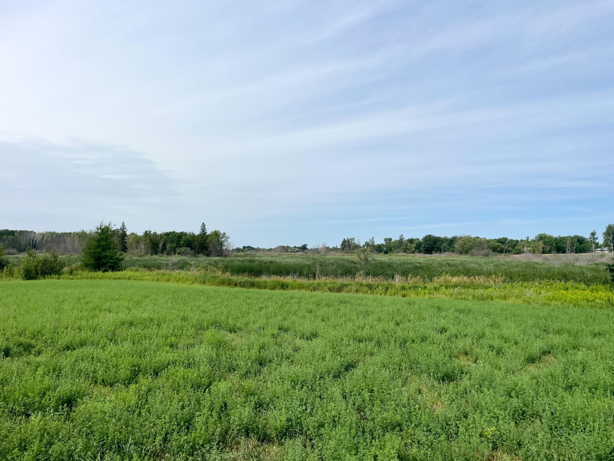 46635 S Pine Lake Road Property Photo 55