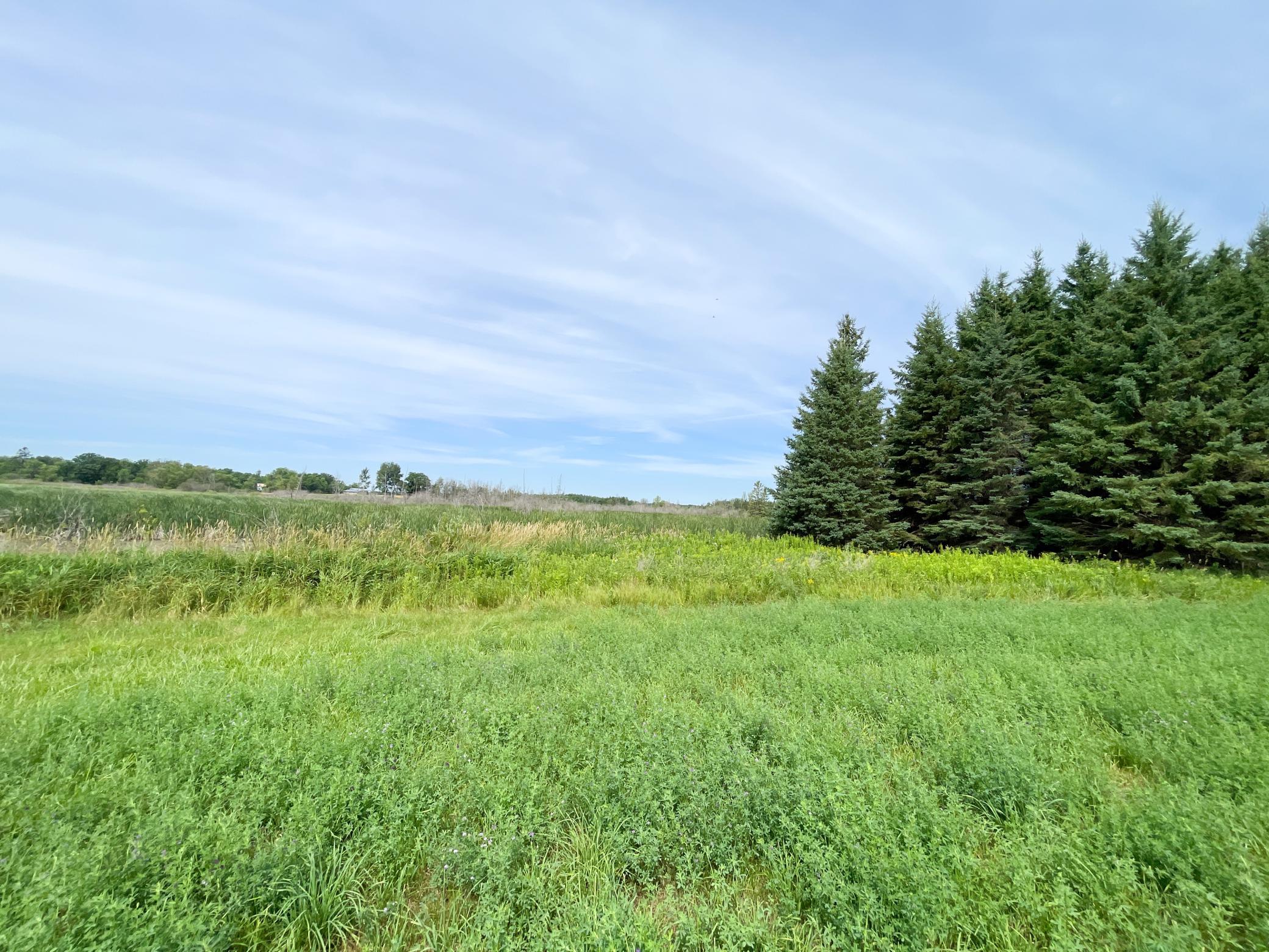 46635 S Pine Lake Road Property Photo 56