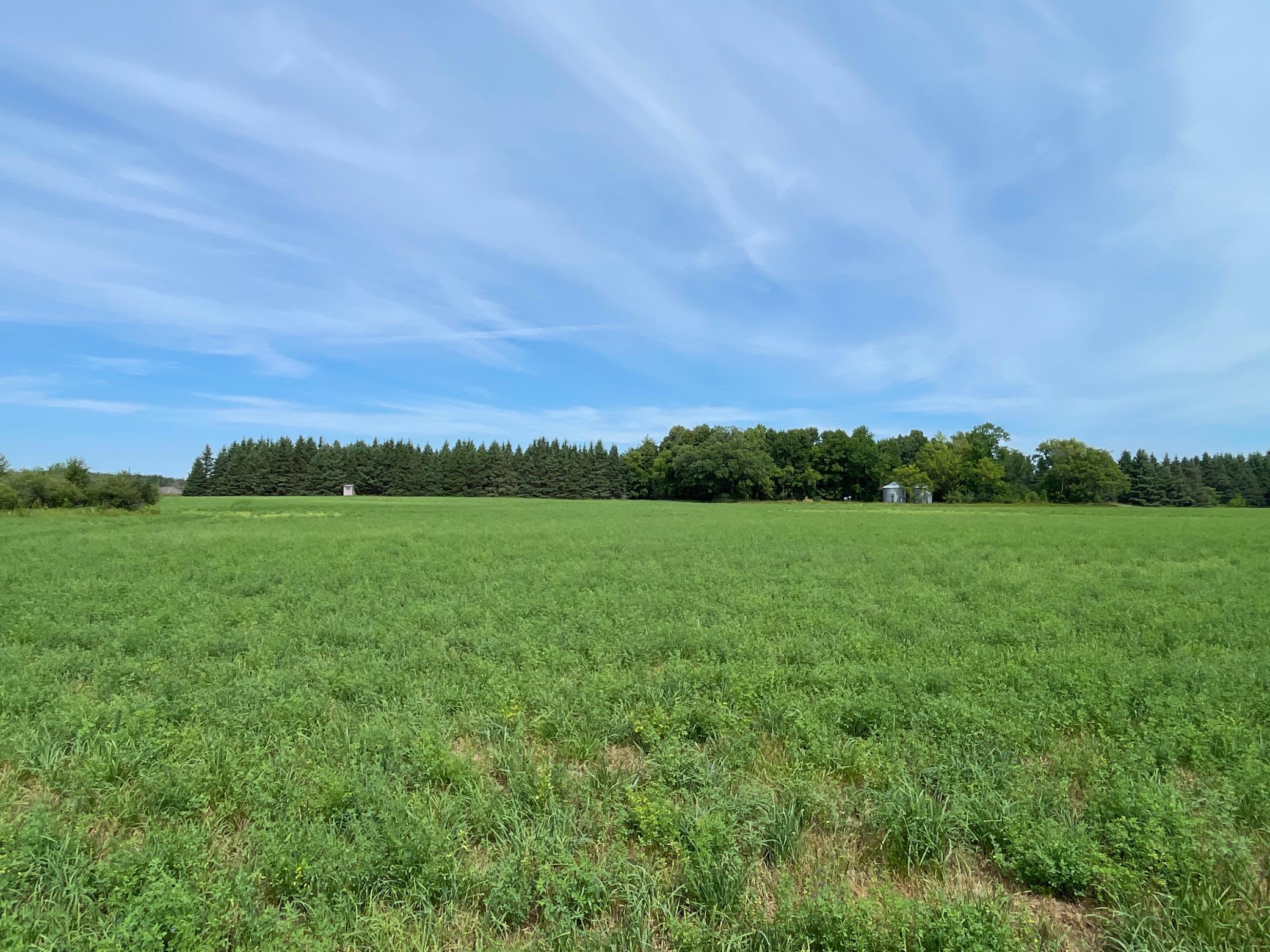 46635 S Pine Lake Road Property Photo 58