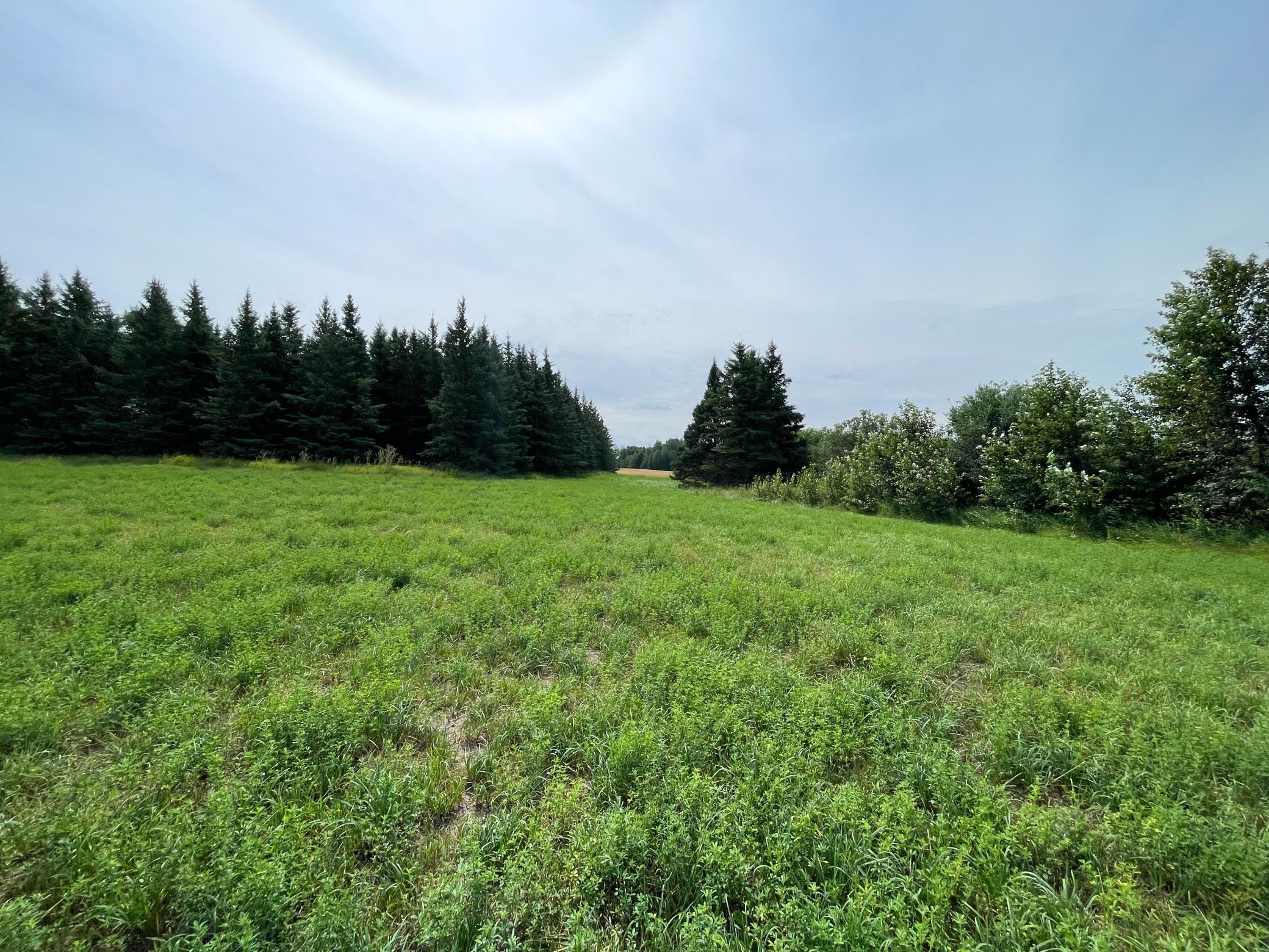 46635 S Pine Lake Road Property Photo 59
