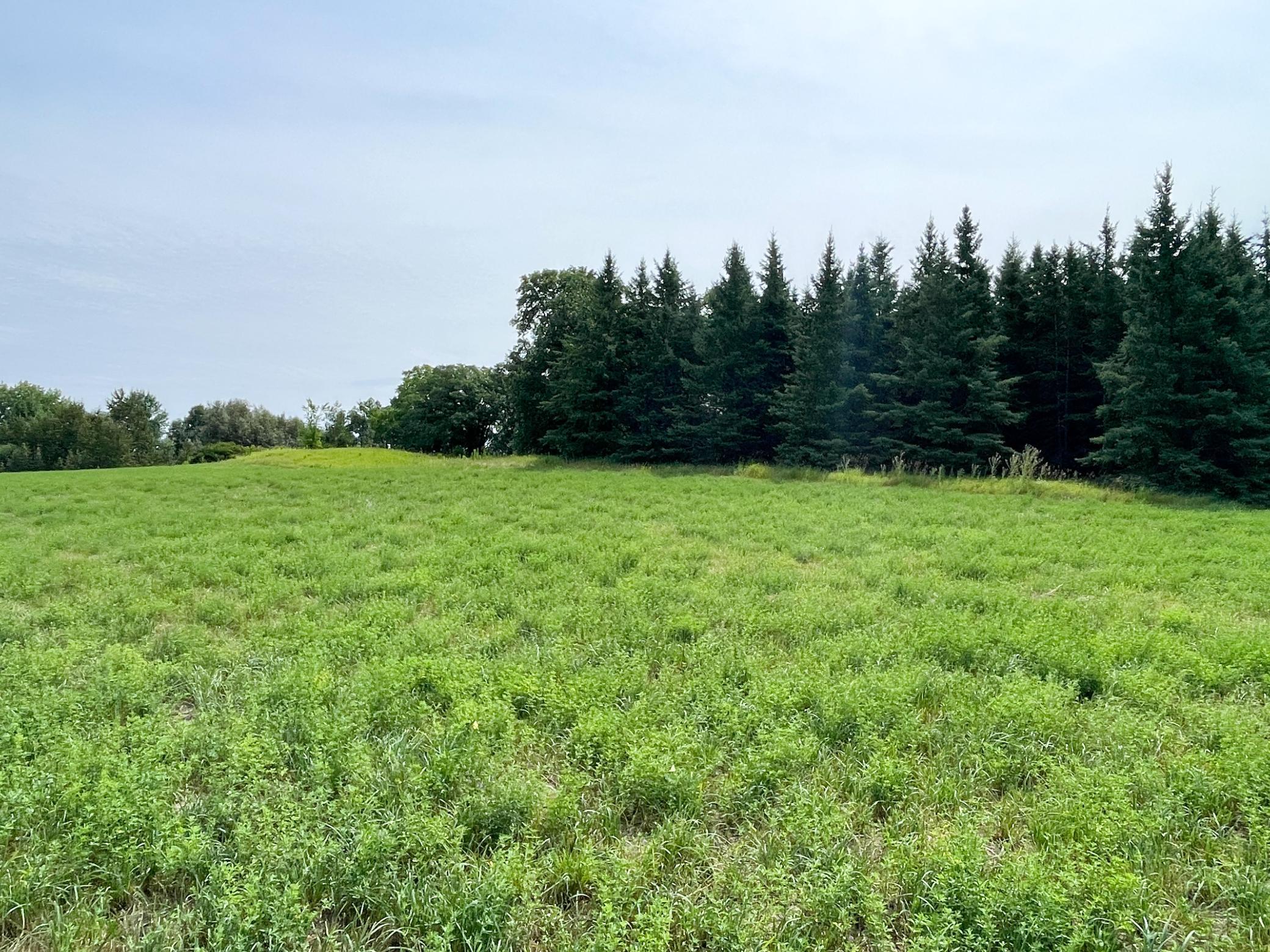 46635 S Pine Lake Road Property Photo 60
