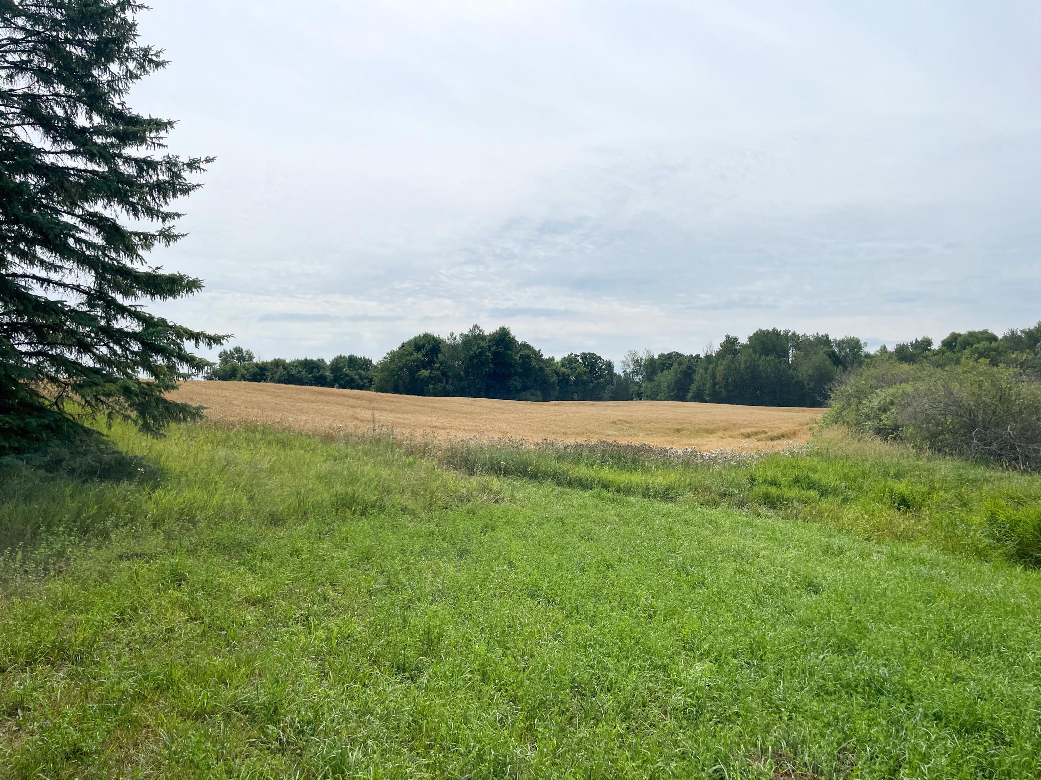 46635 S Pine Lake Road Property Photo 61