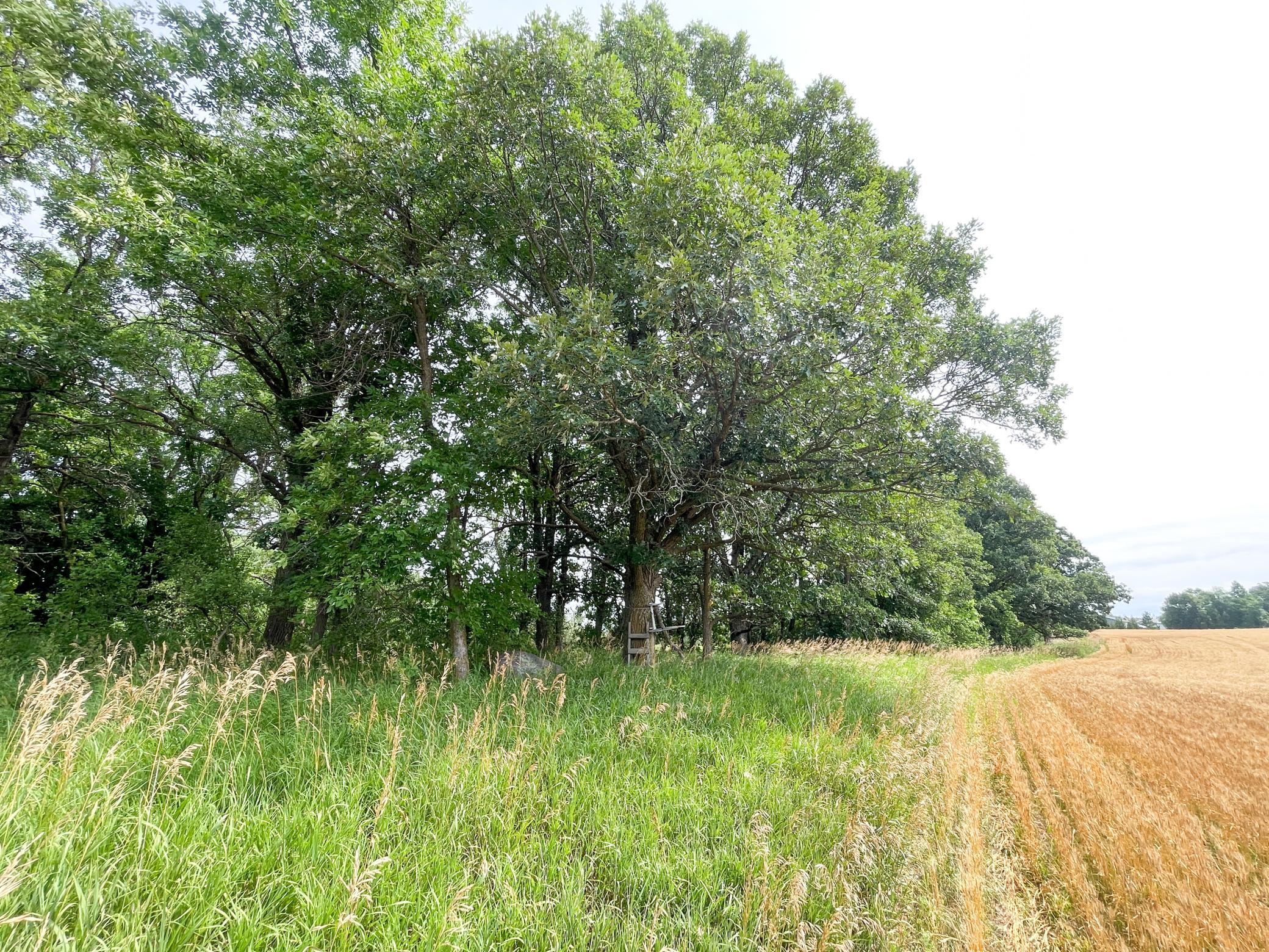 46635 S Pine Lake Road Property Photo 64