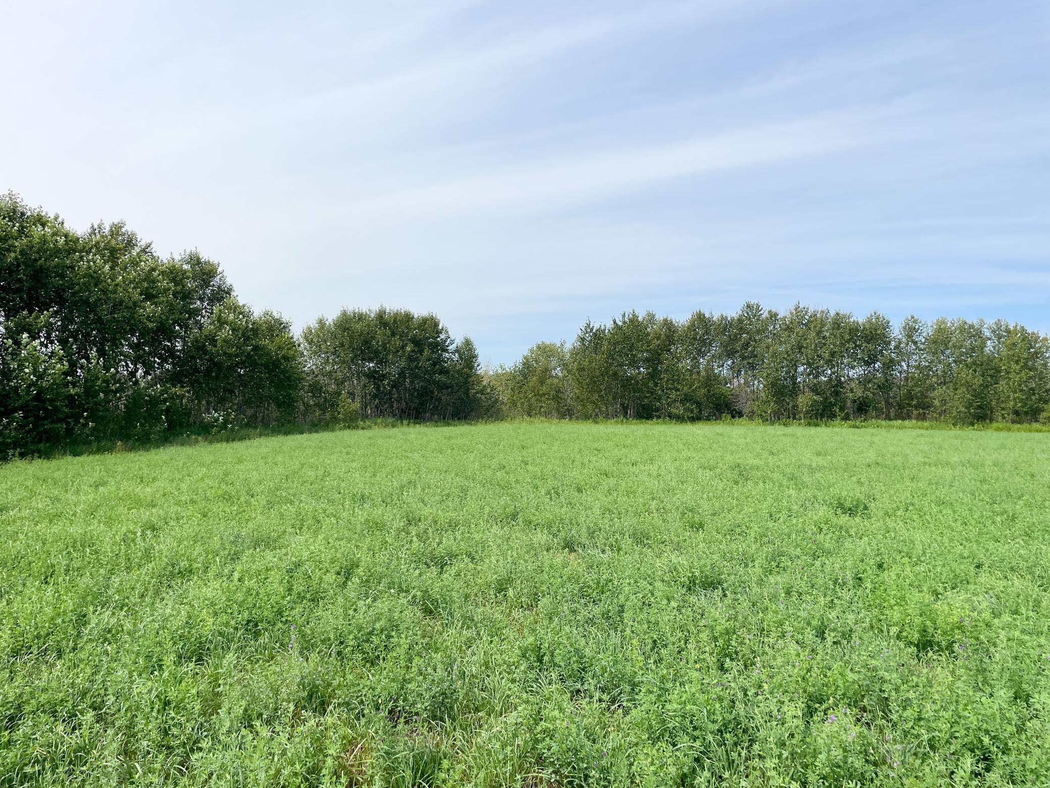 46635 S Pine Lake Road Property Photo 67