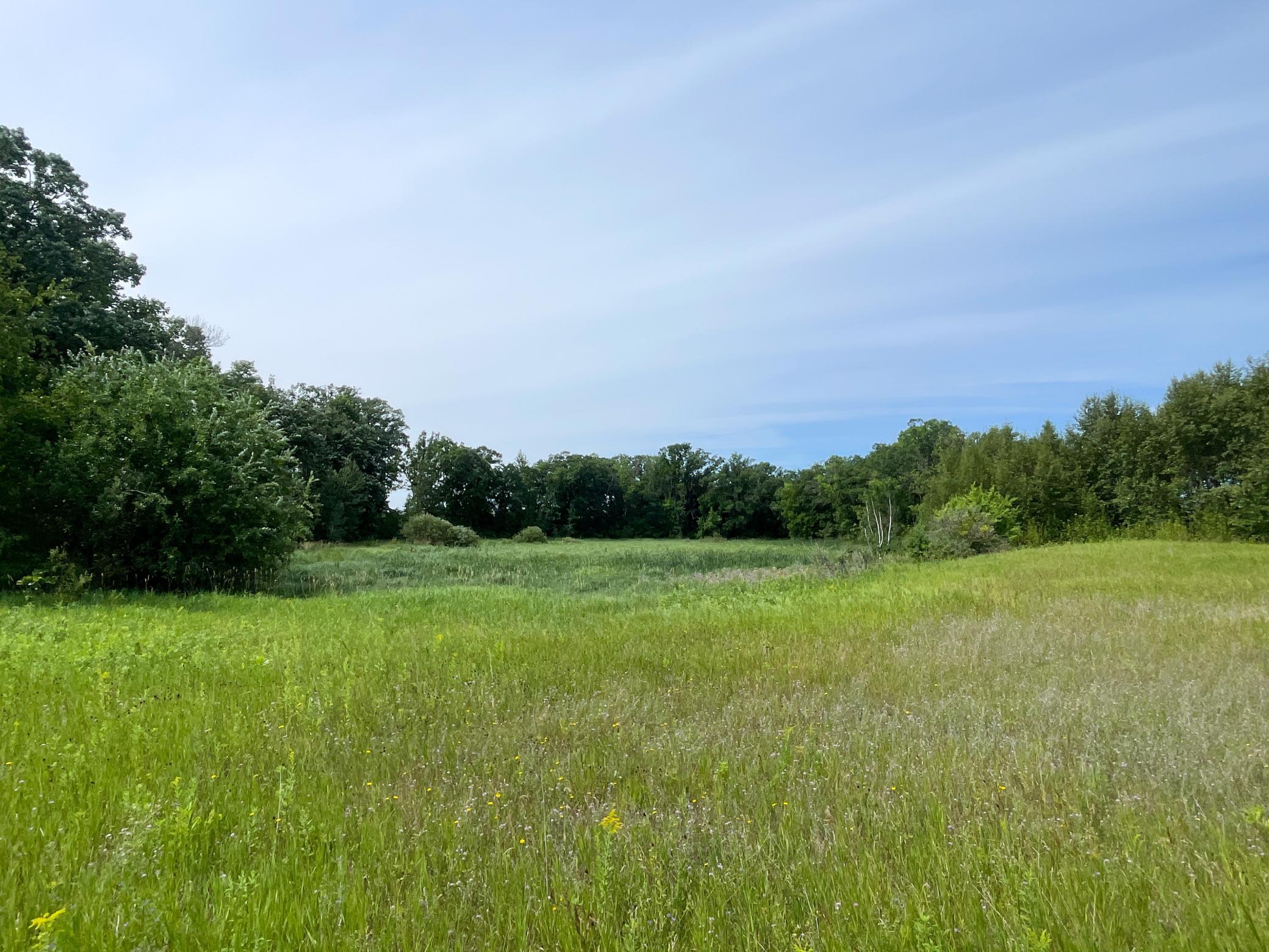 46635 S Pine Lake Road Property Photo 68