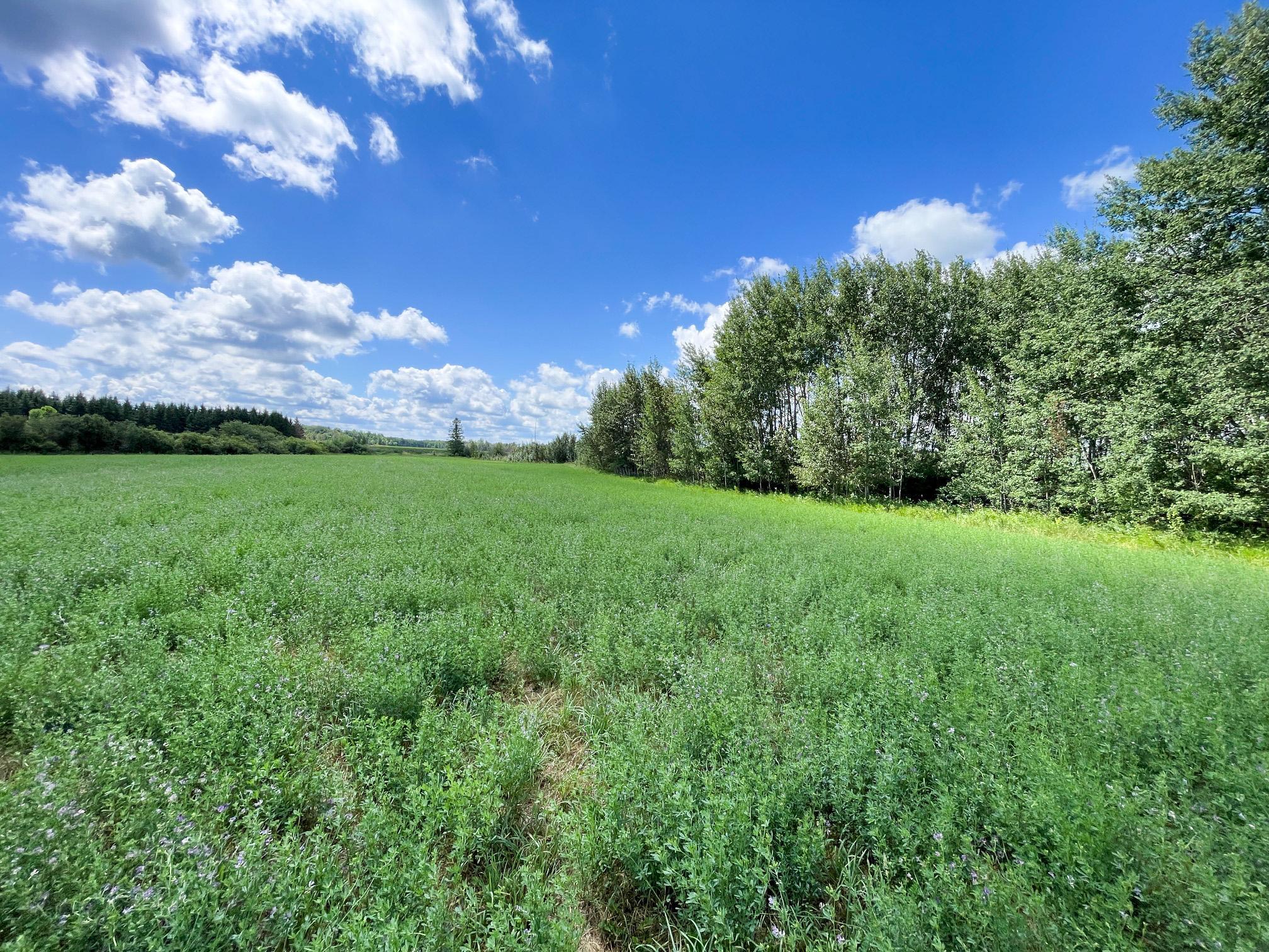 46635 S Pine Lake Road Property Photo 69