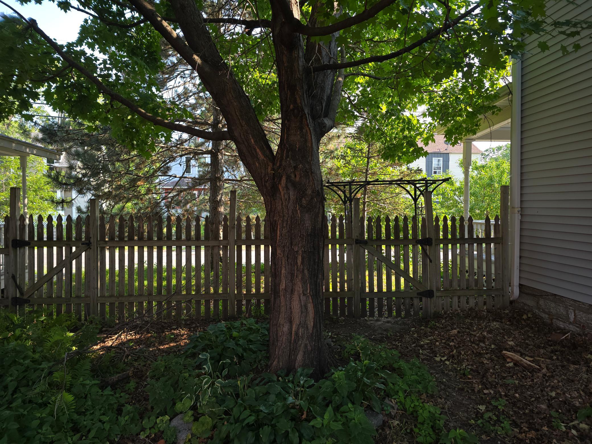806 E 36th Street Property Photo 4