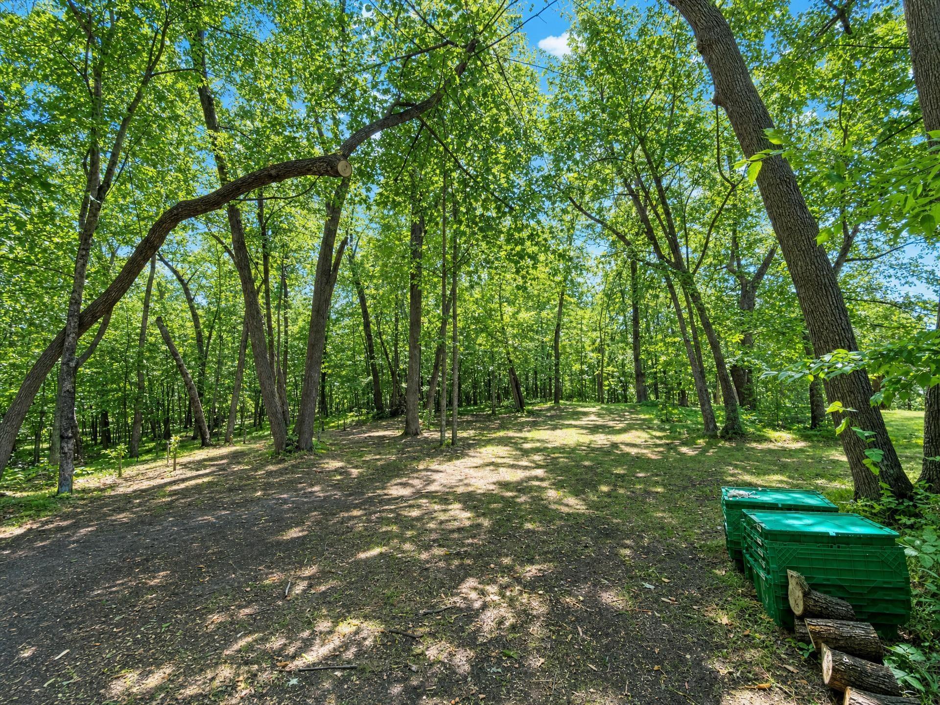 23794 State 87 Property Photo 32