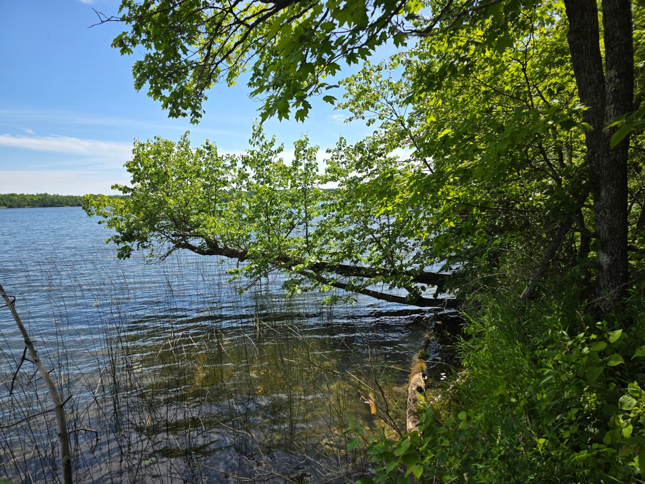 Tbd N Moose Lake Road Ne Property Photo 1