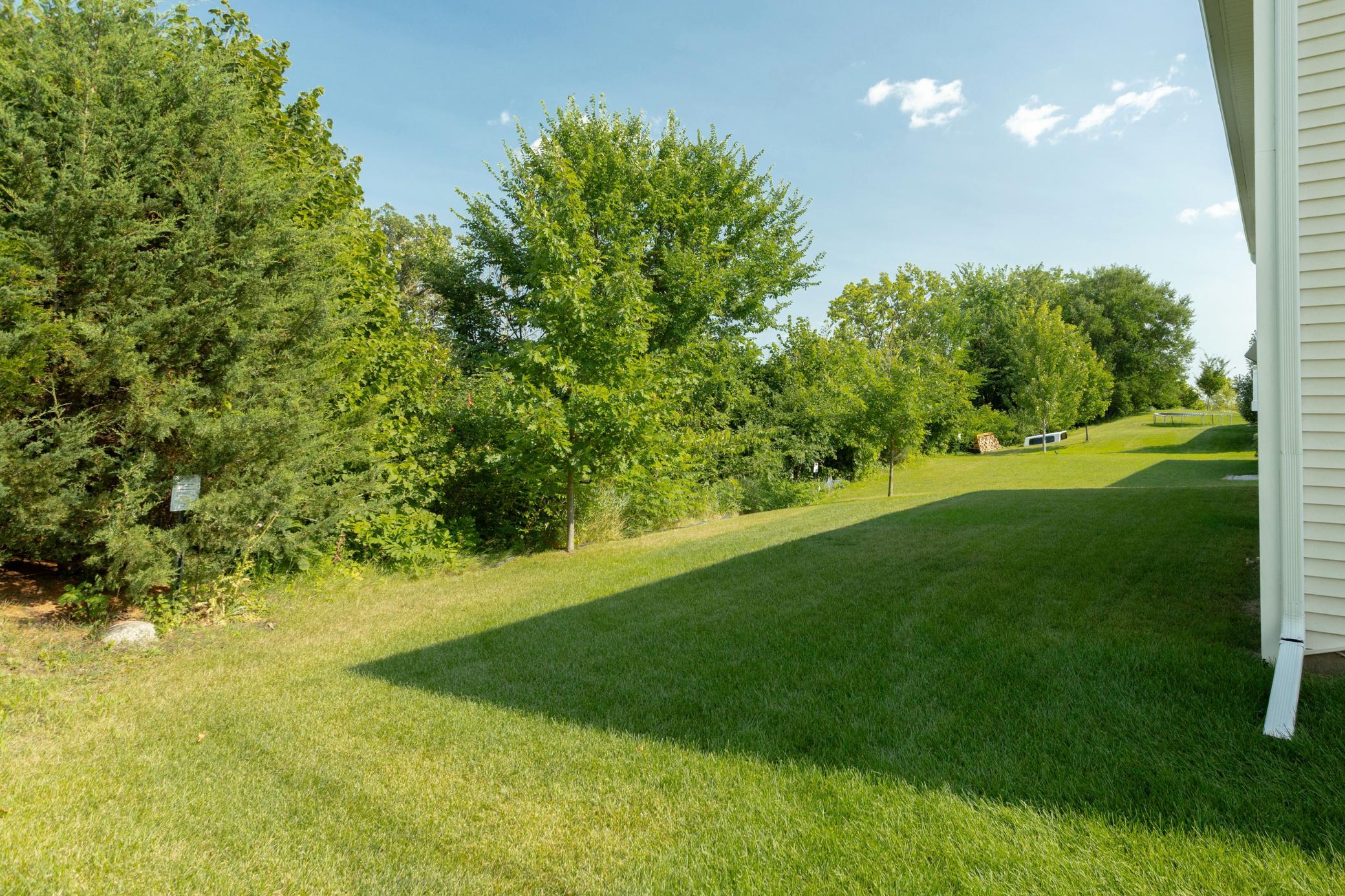 1237 Maple Lane Property Photo 4