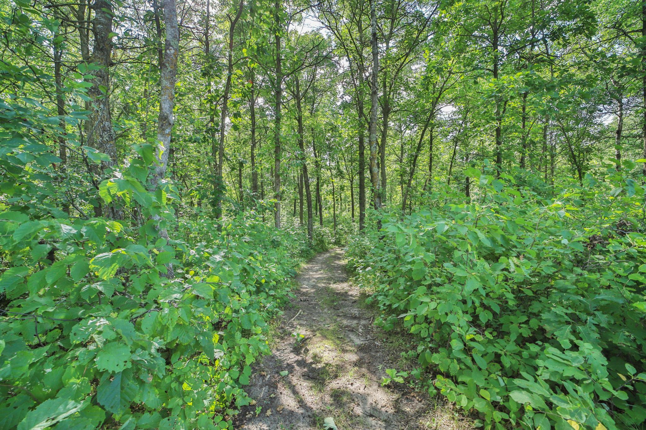 49363 Morrison Line Road Property Photo 44
