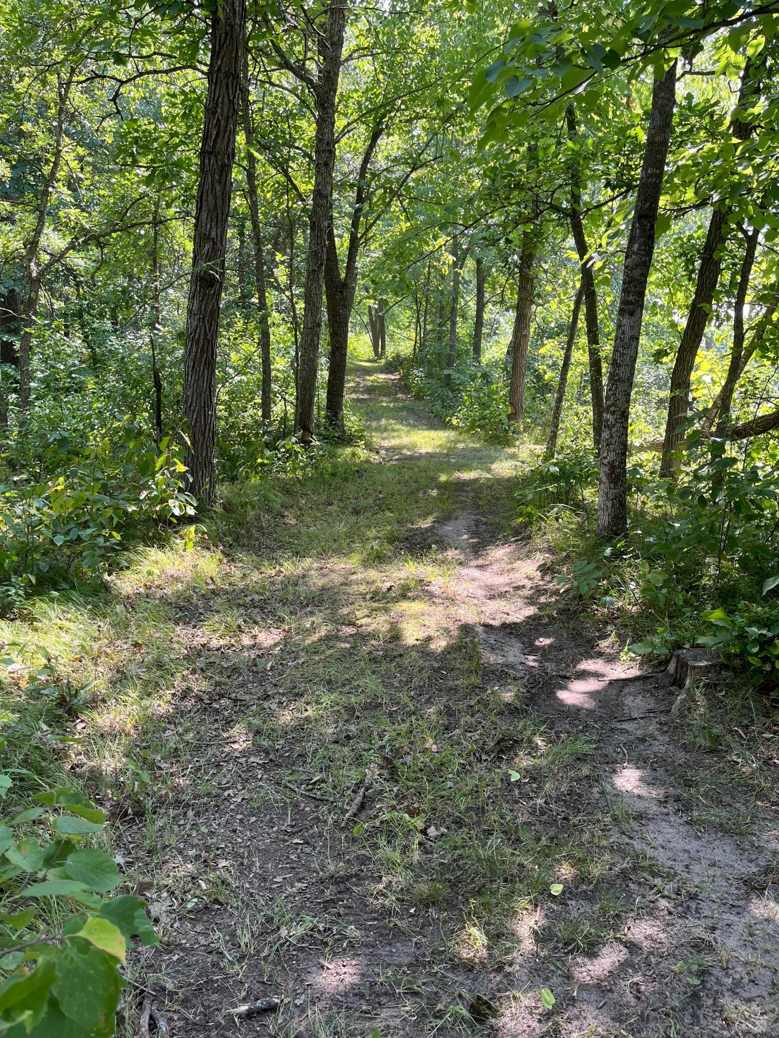 17907 County 81 Property Photo 26