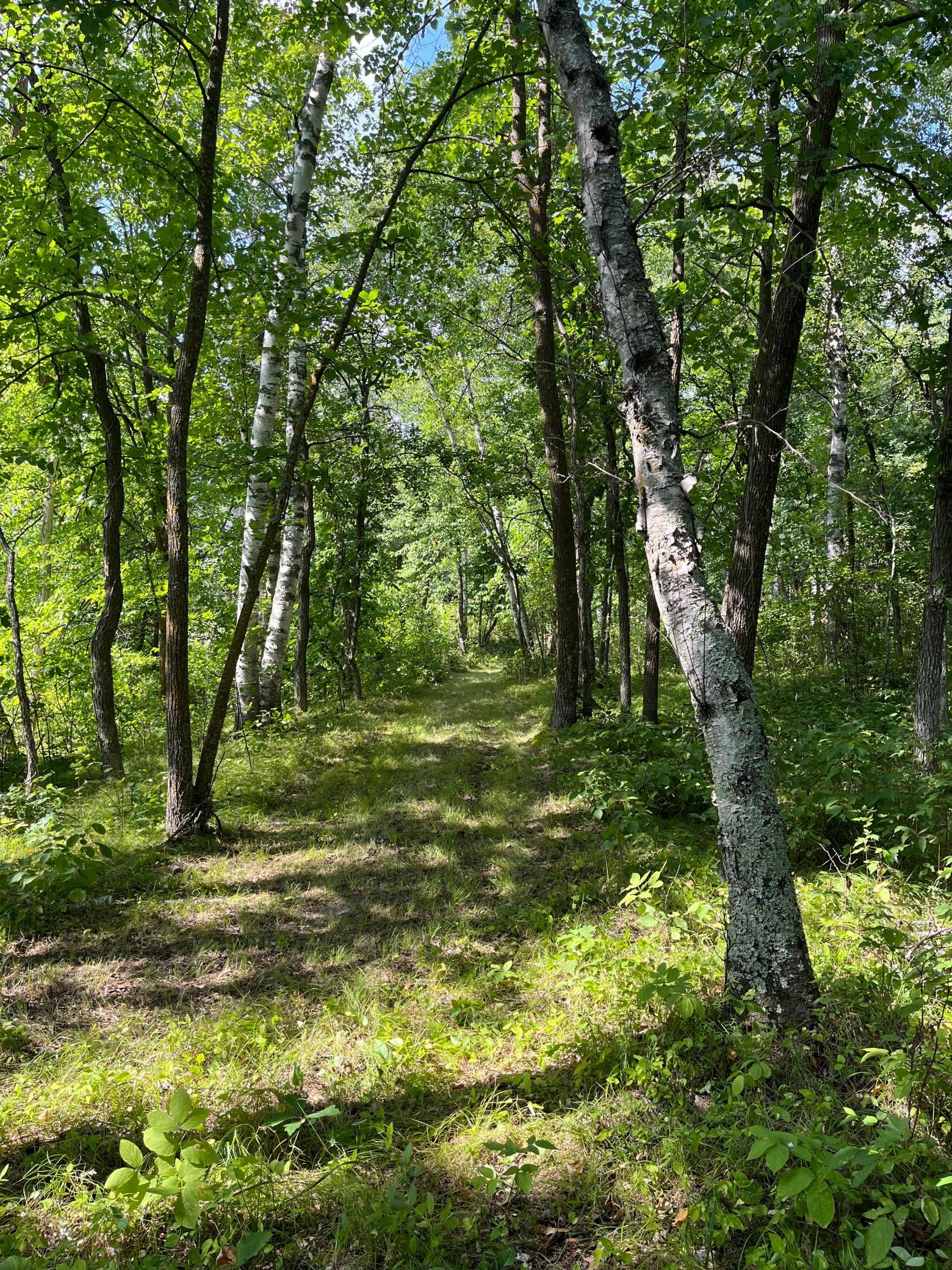 17907 County 81 Property Photo 27