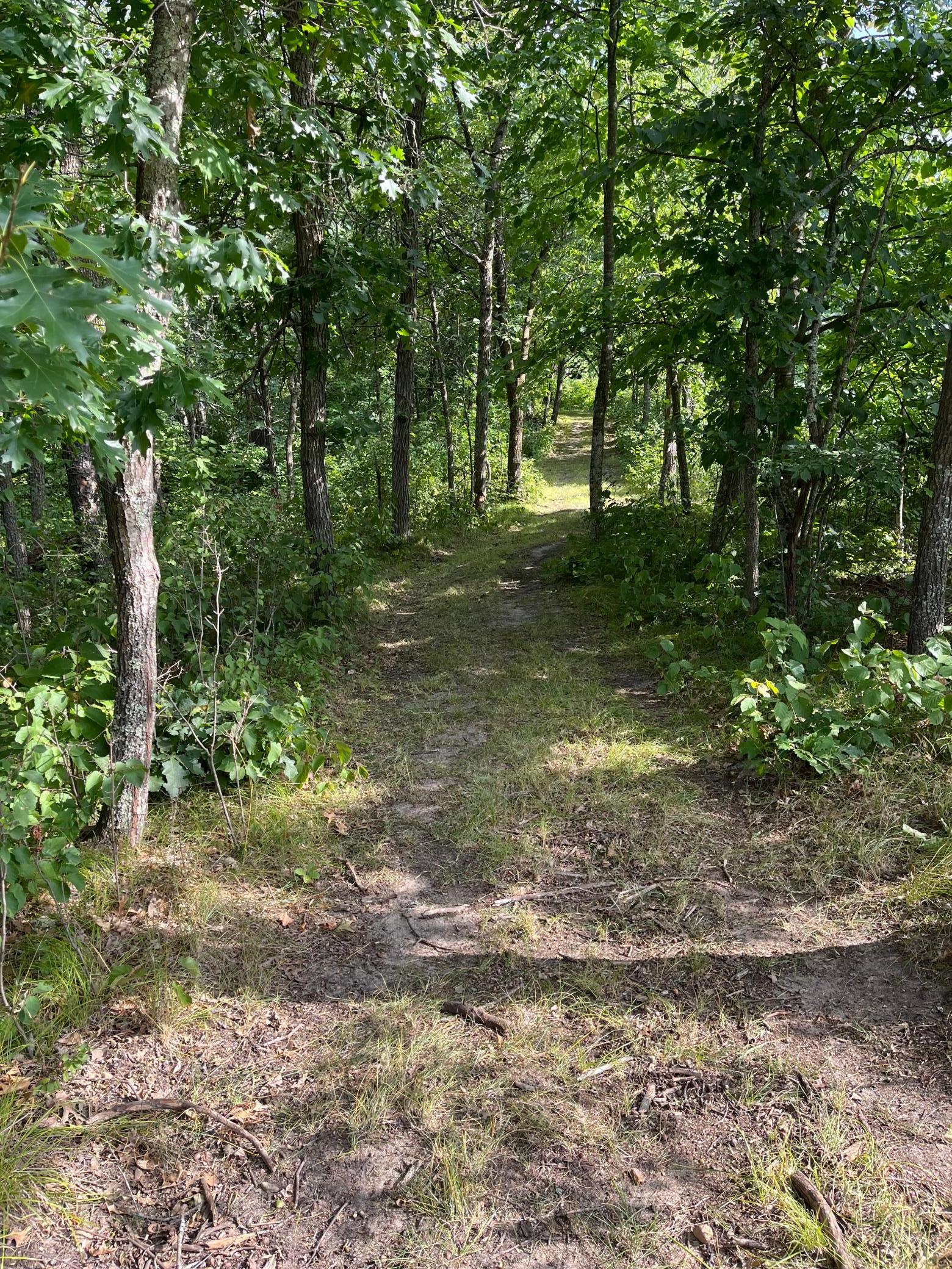 17907 County 81 Property Photo 28