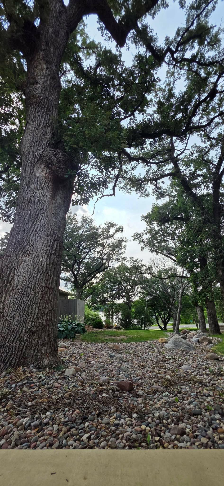 106 Ridge Road Property Photo 35