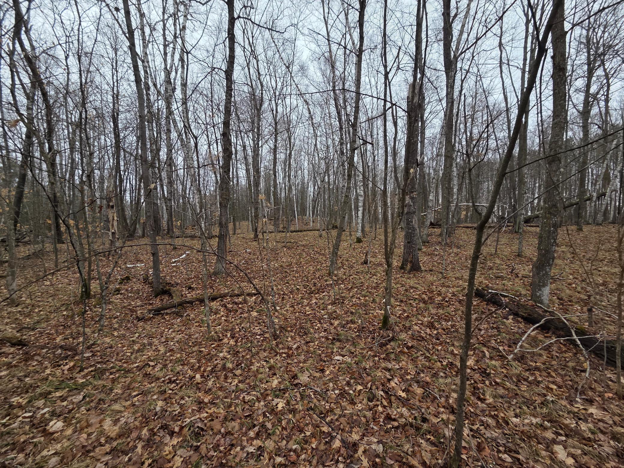 Tbd County 11 Property Photo 3